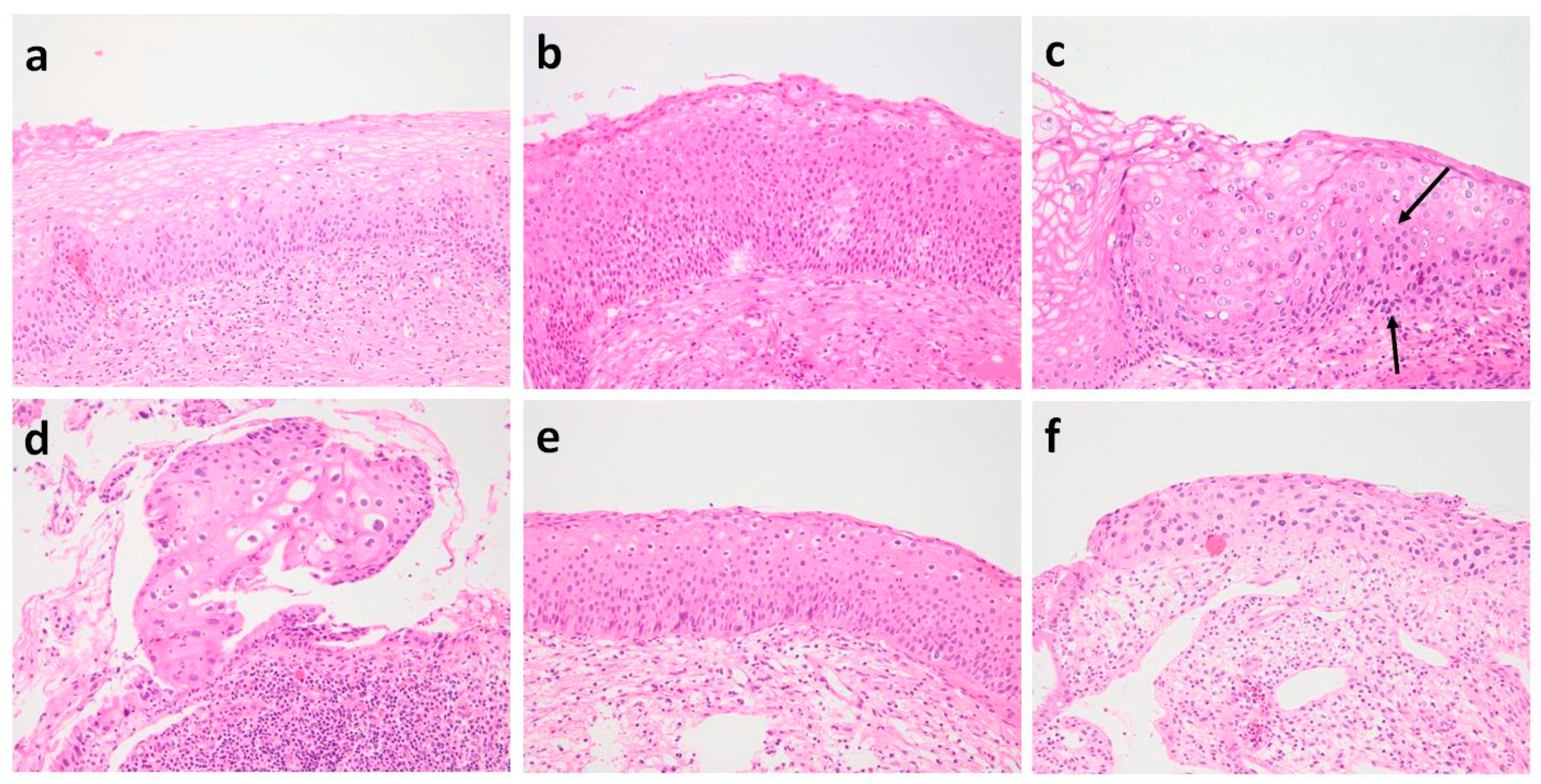 Diagnostics 12 00548 g0a1 Diagnostics 12 00548 g0a1