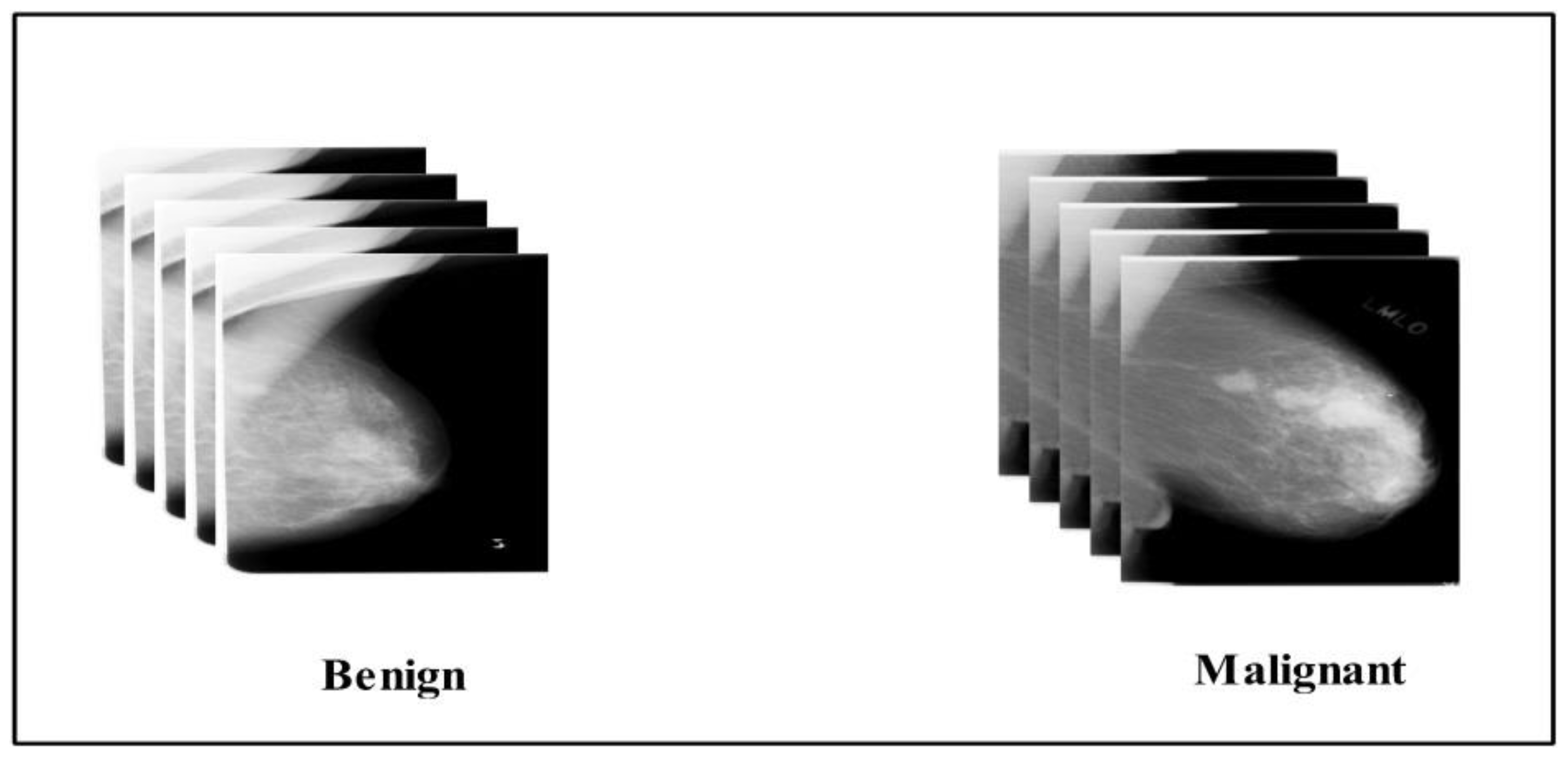 Diagnostics 12 00557 g002 550