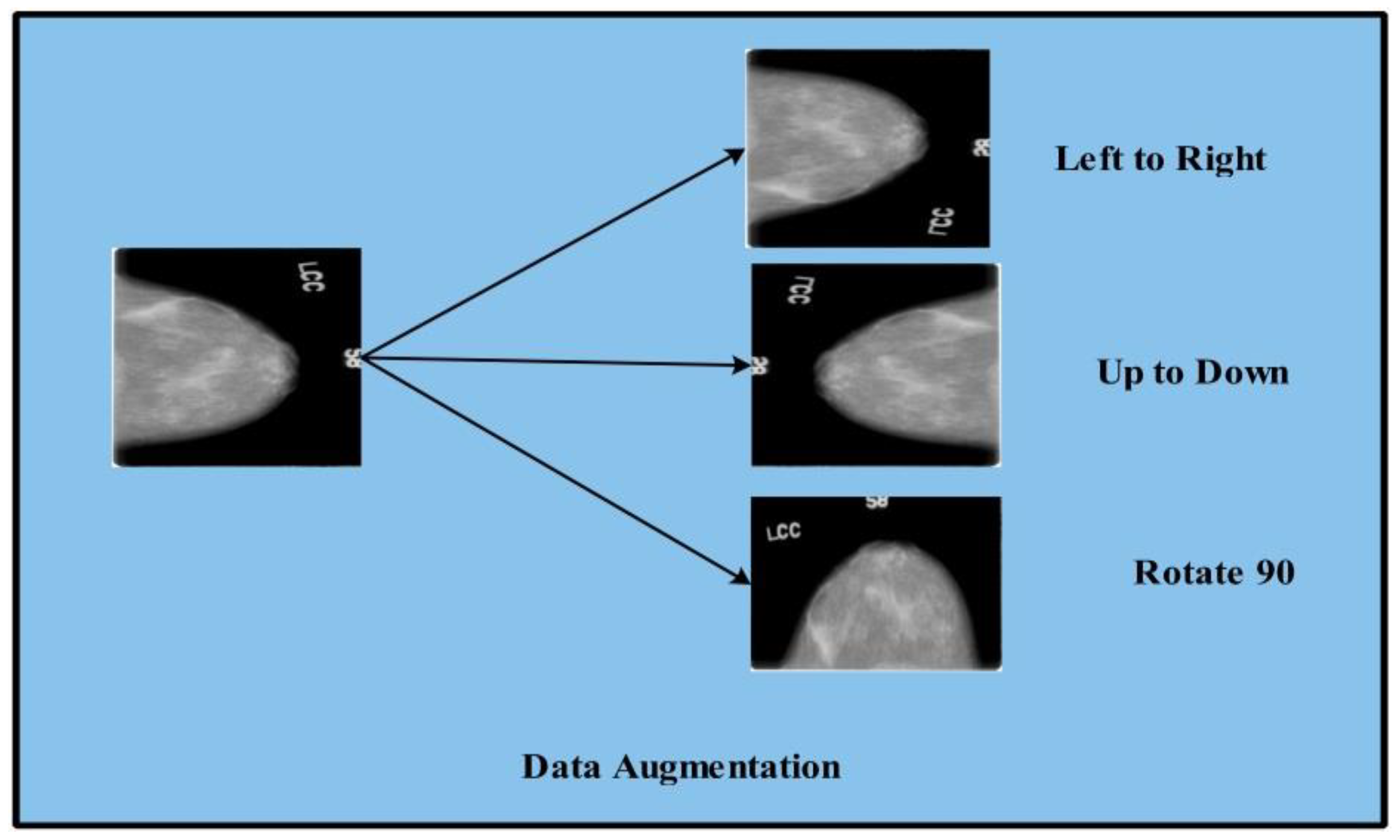 Diagnostics 12 00557 g005 550