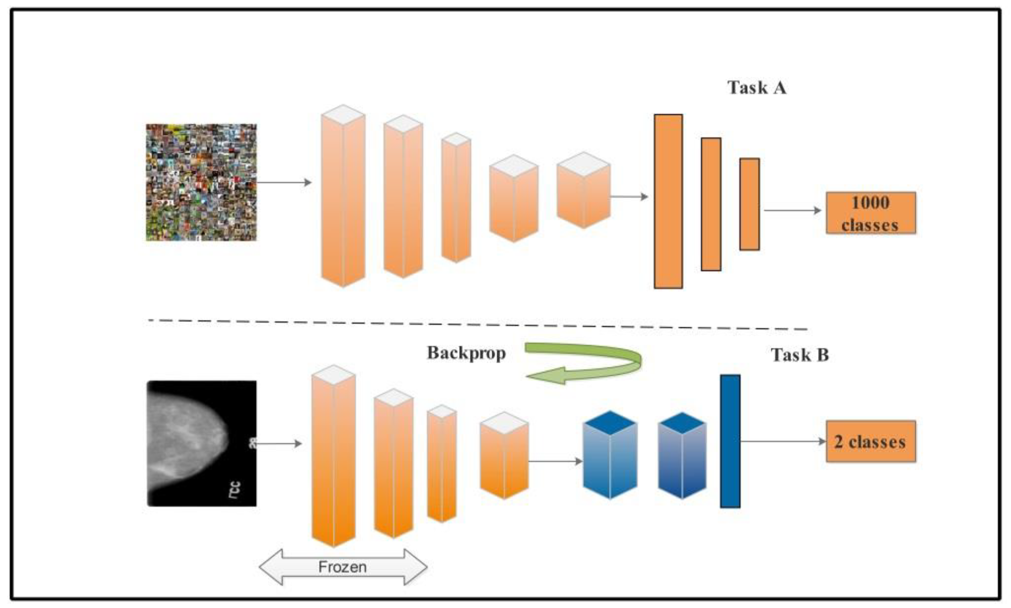 Diagnostics 12 00557 g006 550