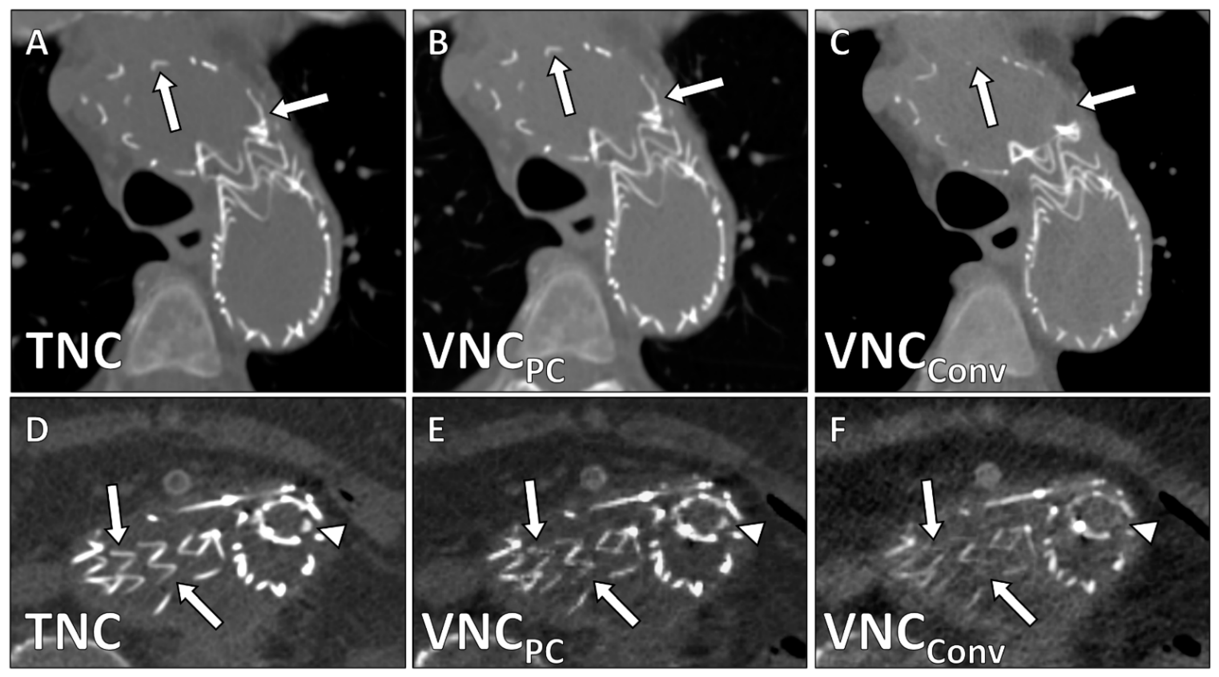 Diagnostics 12 00558 g002