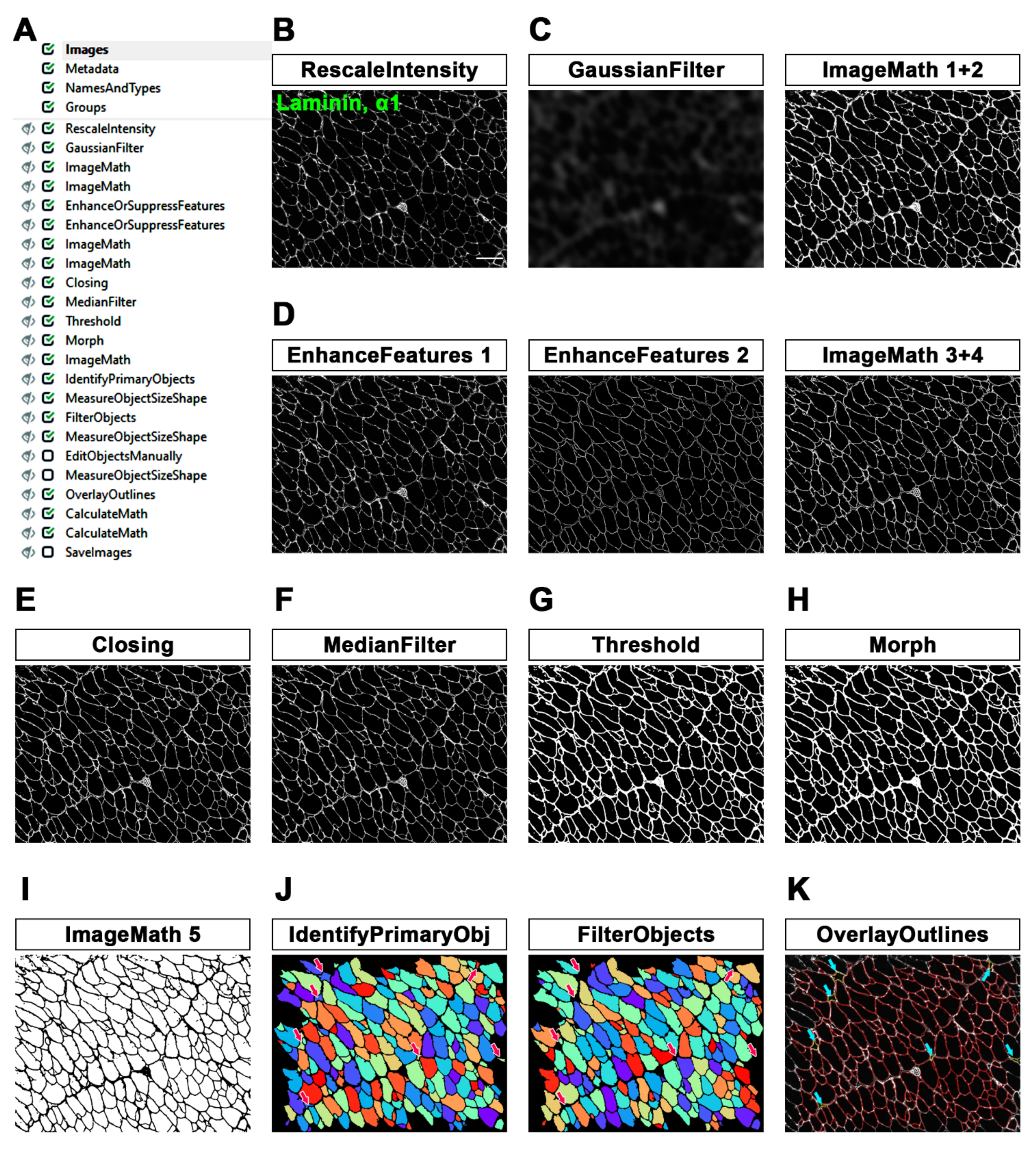 Diagnostics 12 00561 g001 550