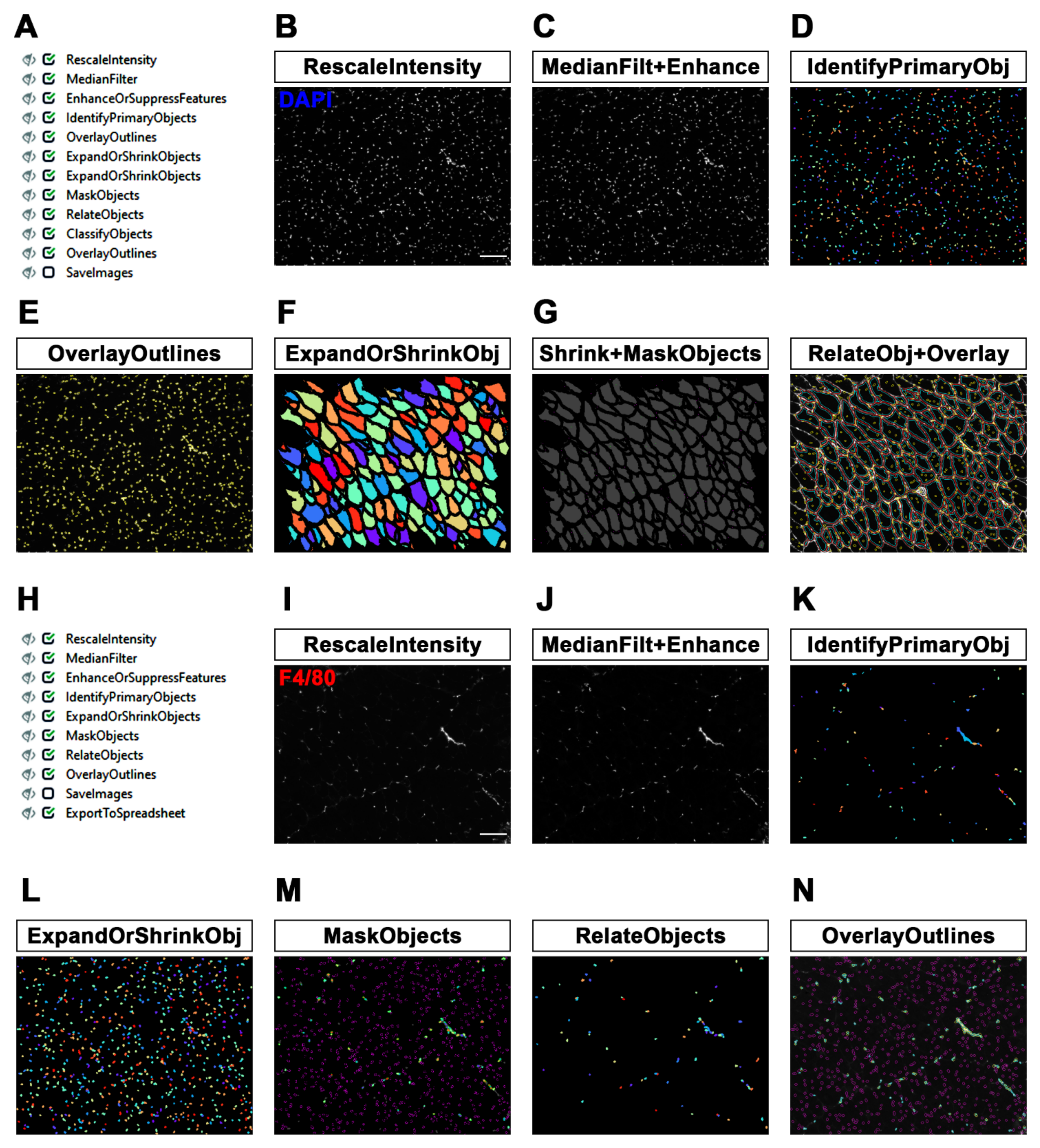 Diagnostics 12 00561 g002 550