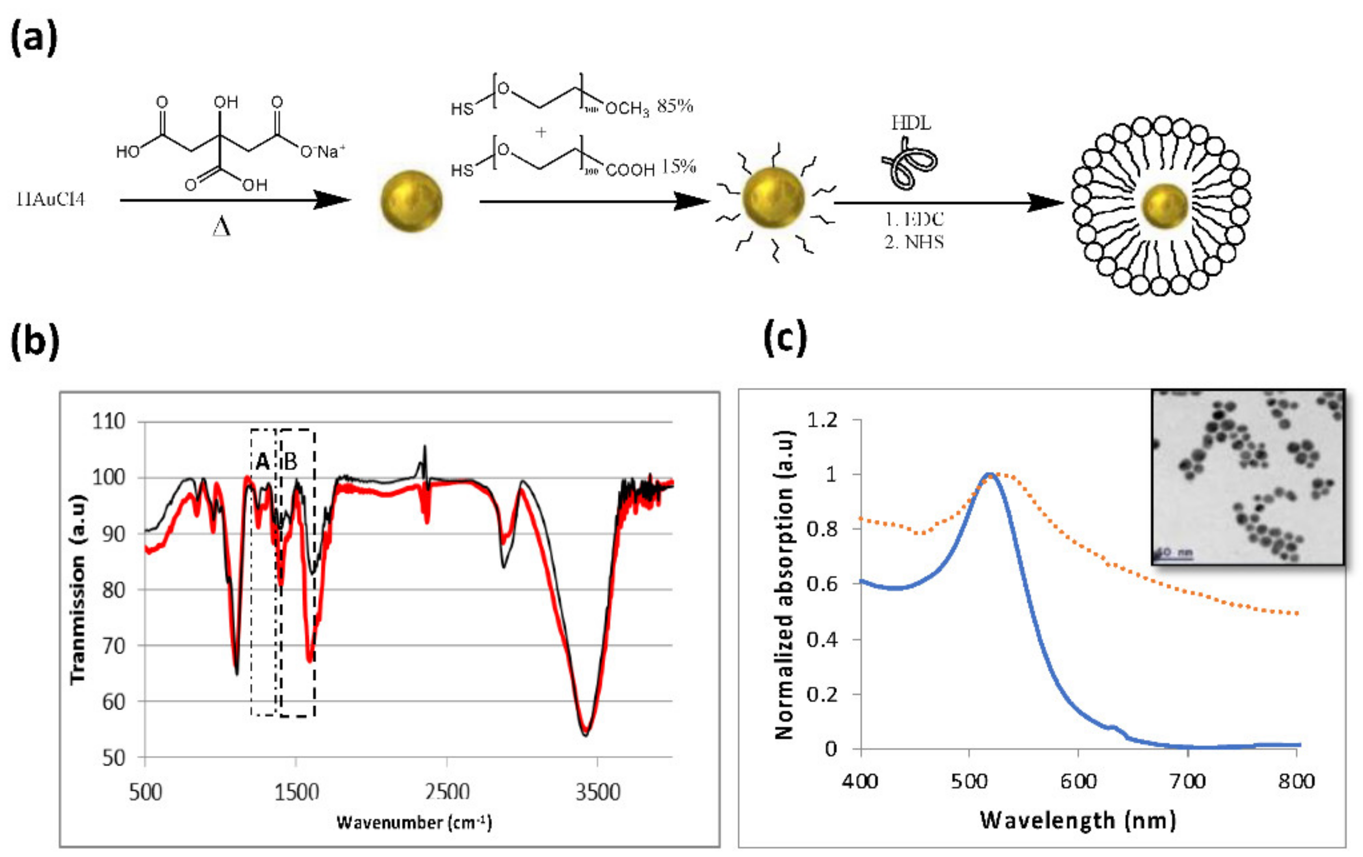 Diagnostics 12 00577 g001 550