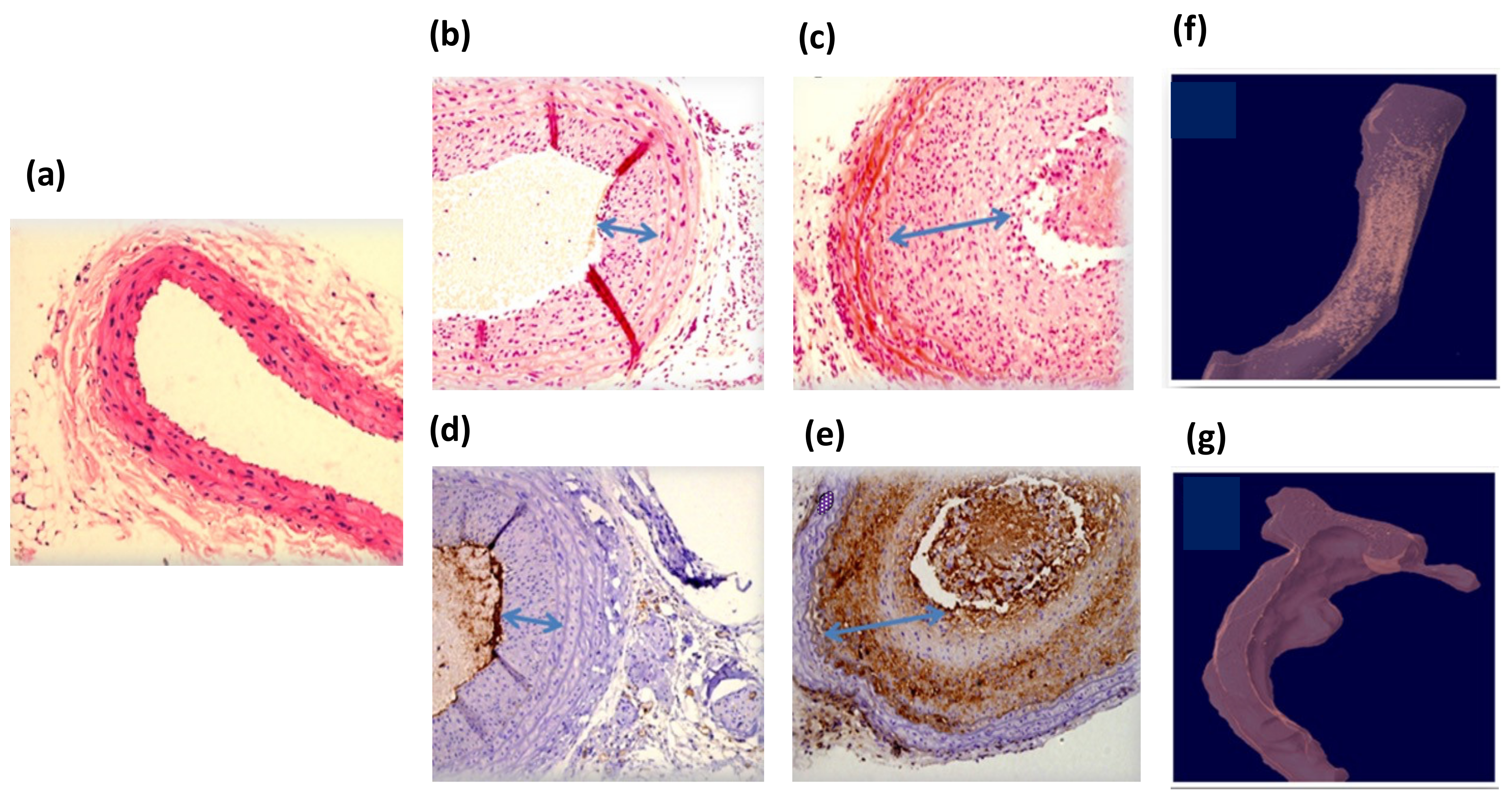 Diagnostics 12 00577 g005 550