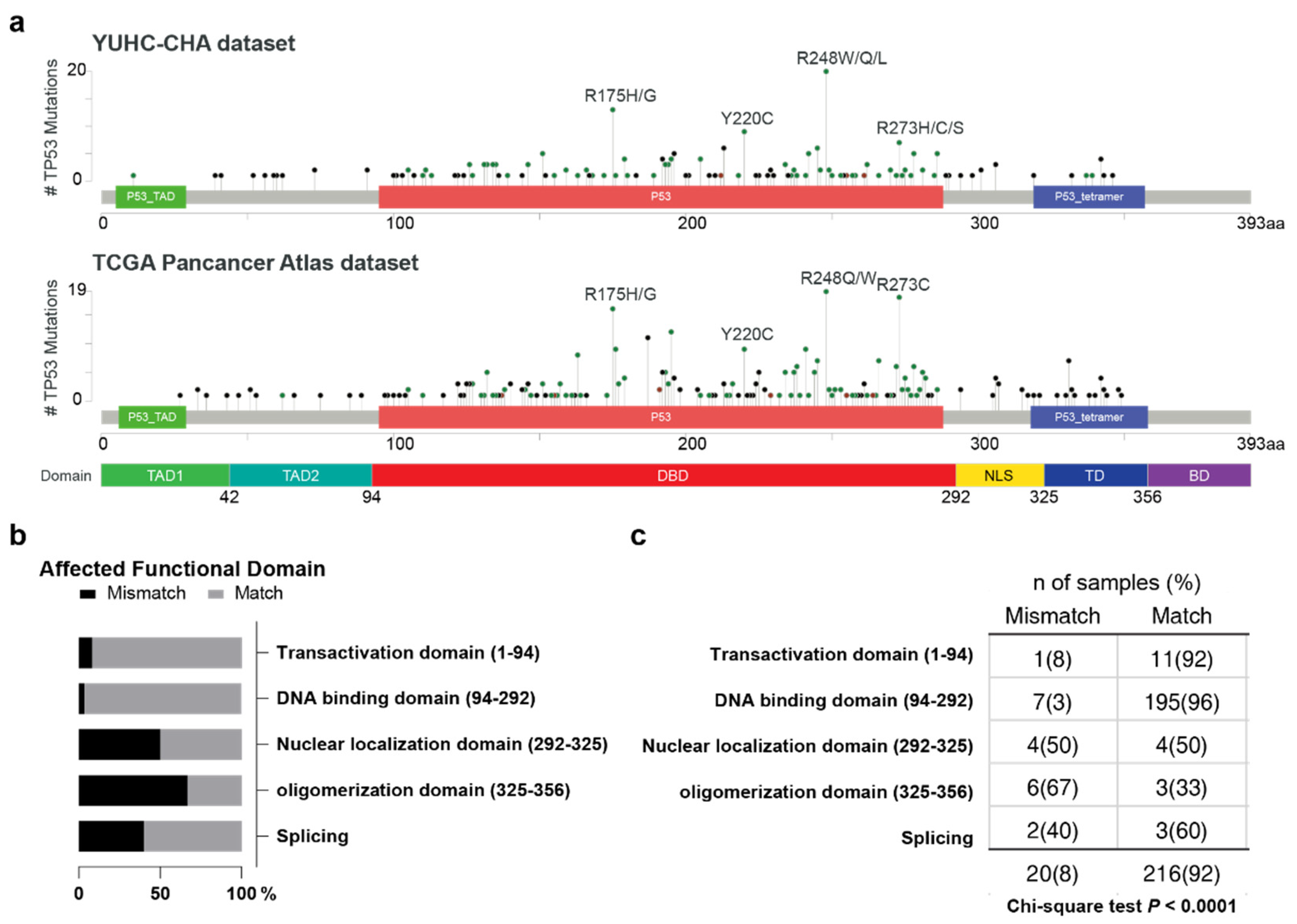 Diagnostics Free FullText p53 Immunohistochemistry and Mutation