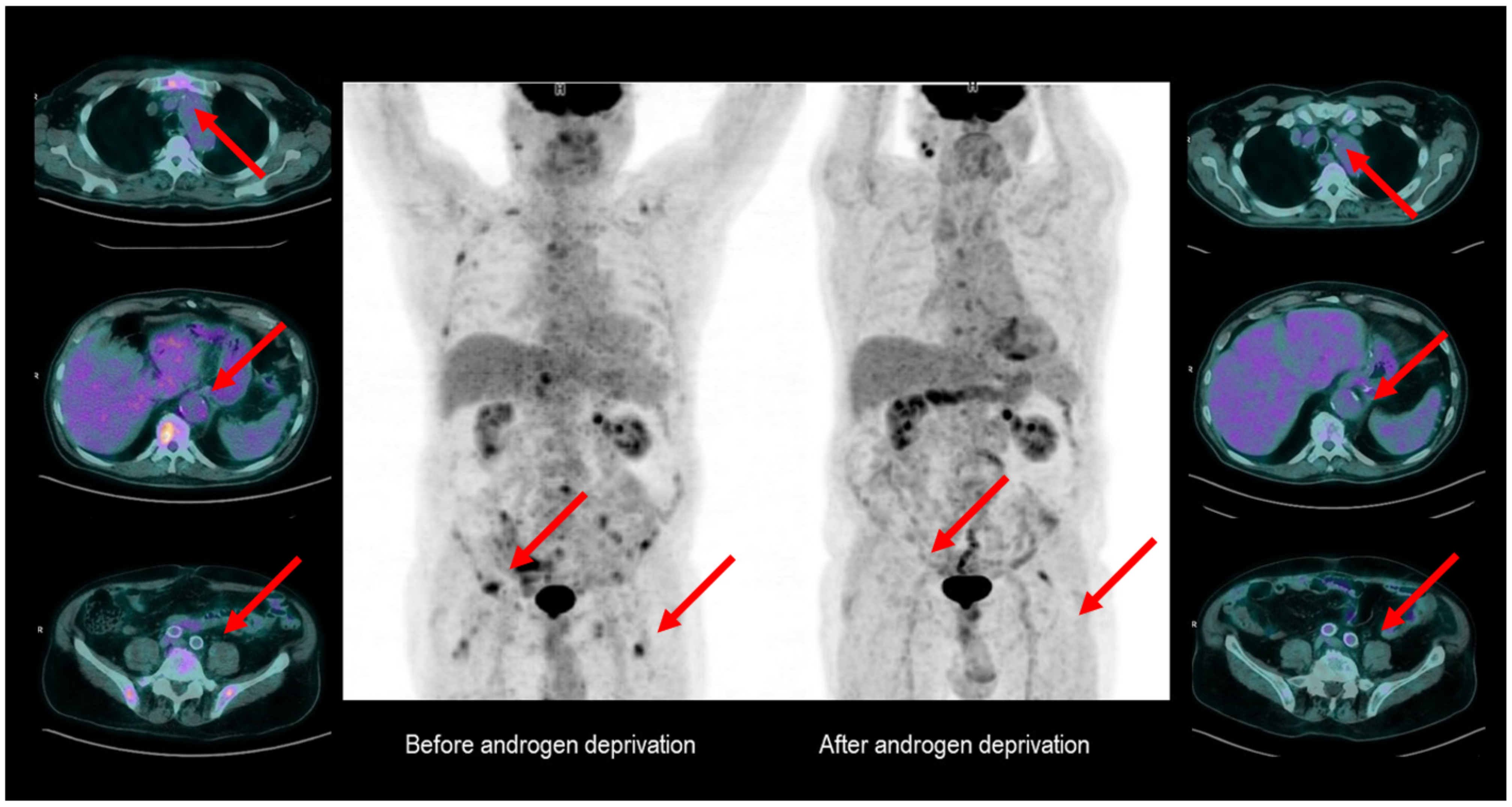 Diagnostics 12 00581 g004 Diagnostics 12 00581 g004