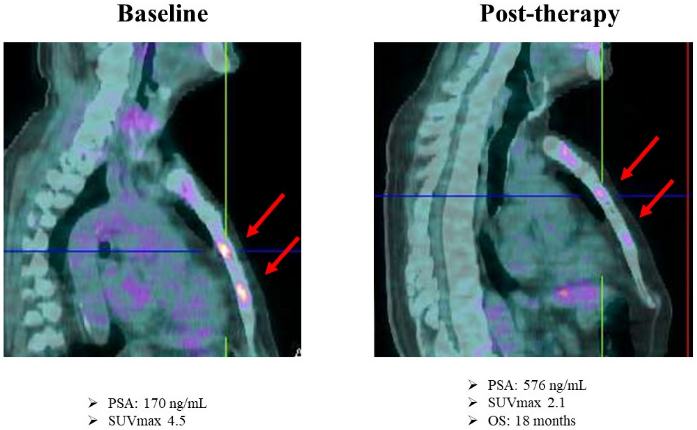 Diagnostics 12 00581 g007 Diagnostics 12 00581 g007