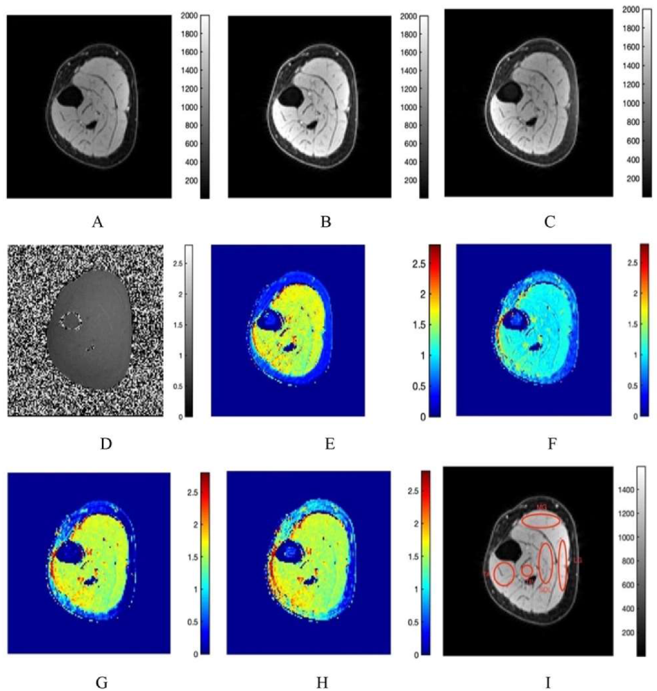 Diagnostics 12 00584 g001