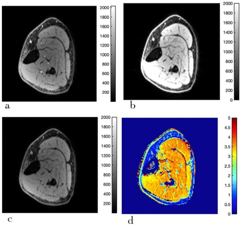 Diagnostics 12 00584 g003