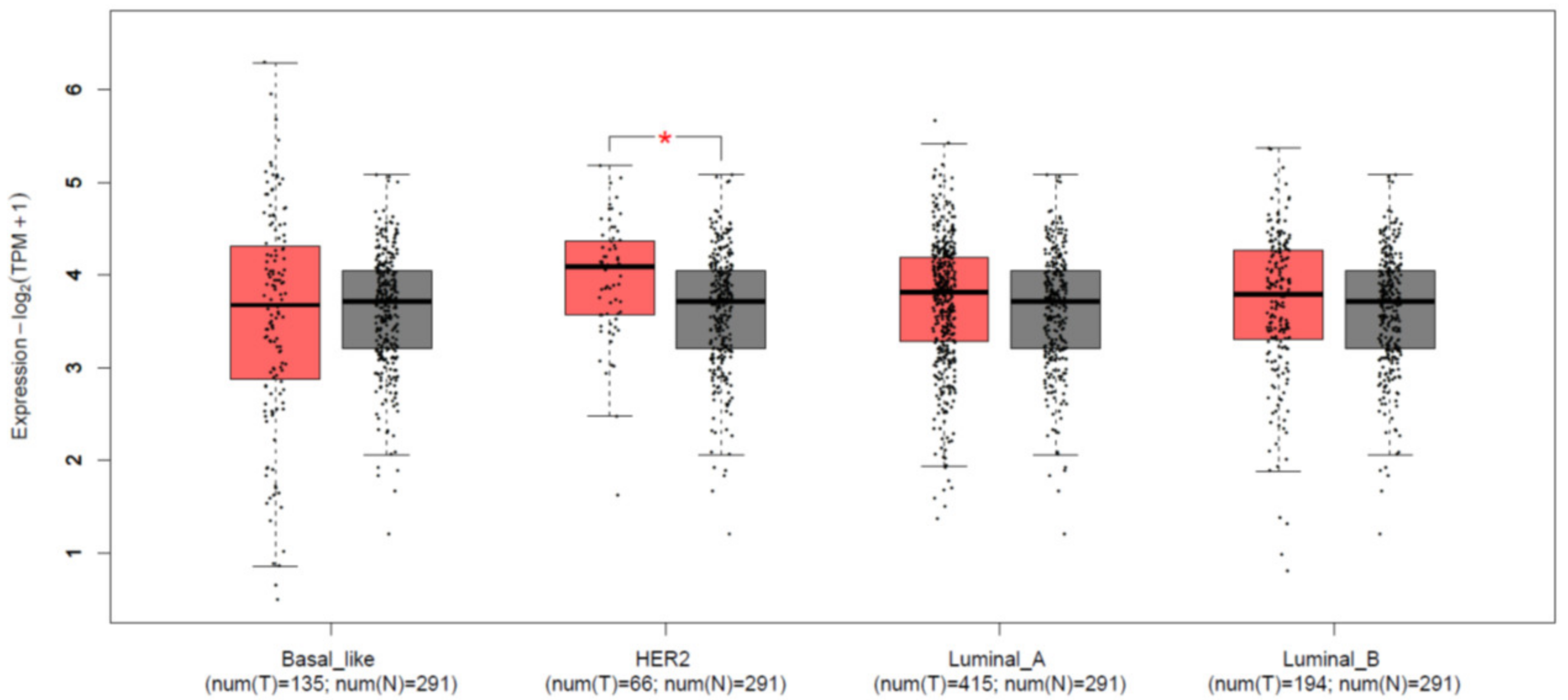 Diagnostics 12 00591 g001 Diagnostics 12 00591 g001