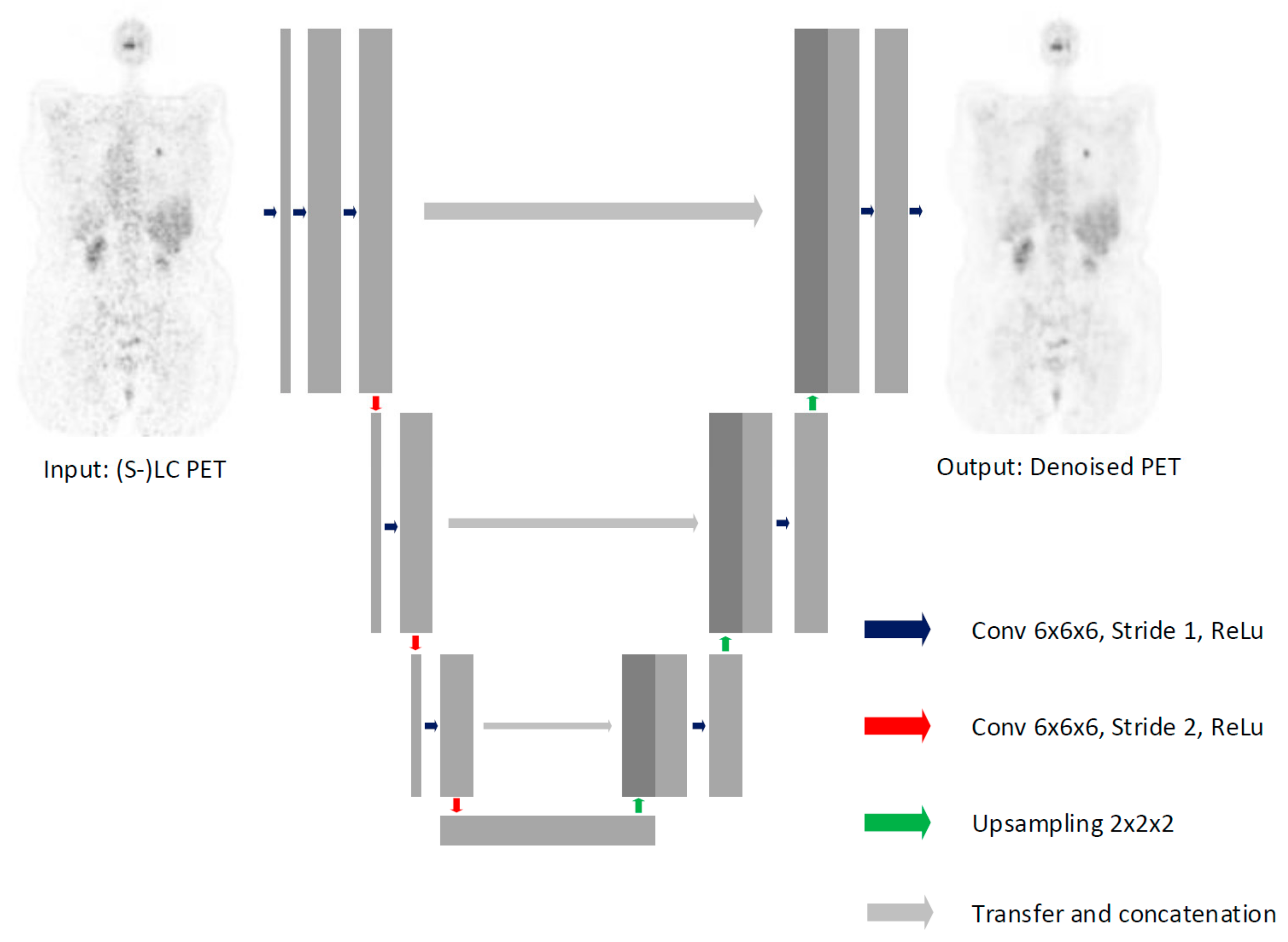 Diagnostics 12 00596 g001