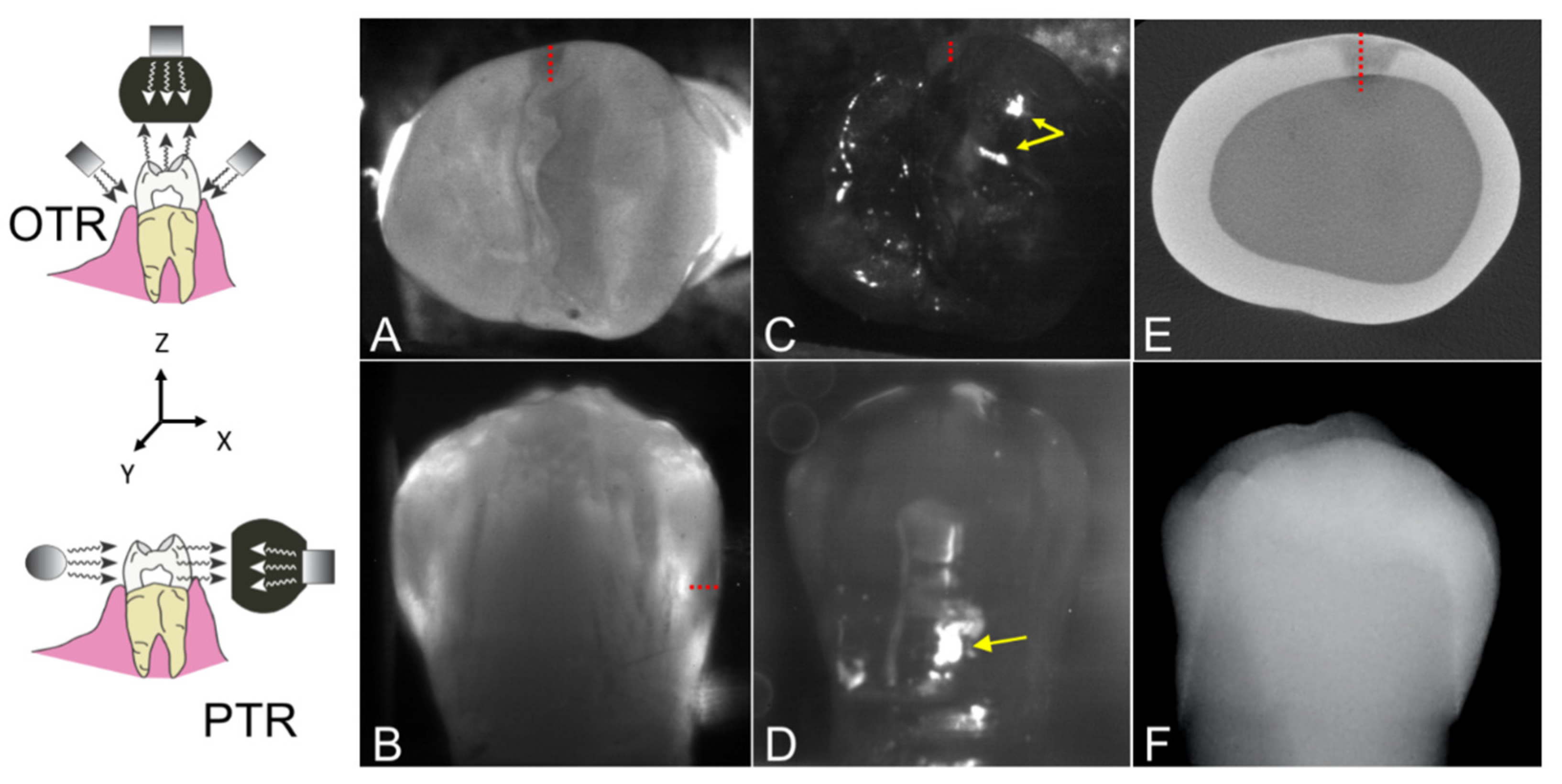 Diagnostics 12 00597 g001