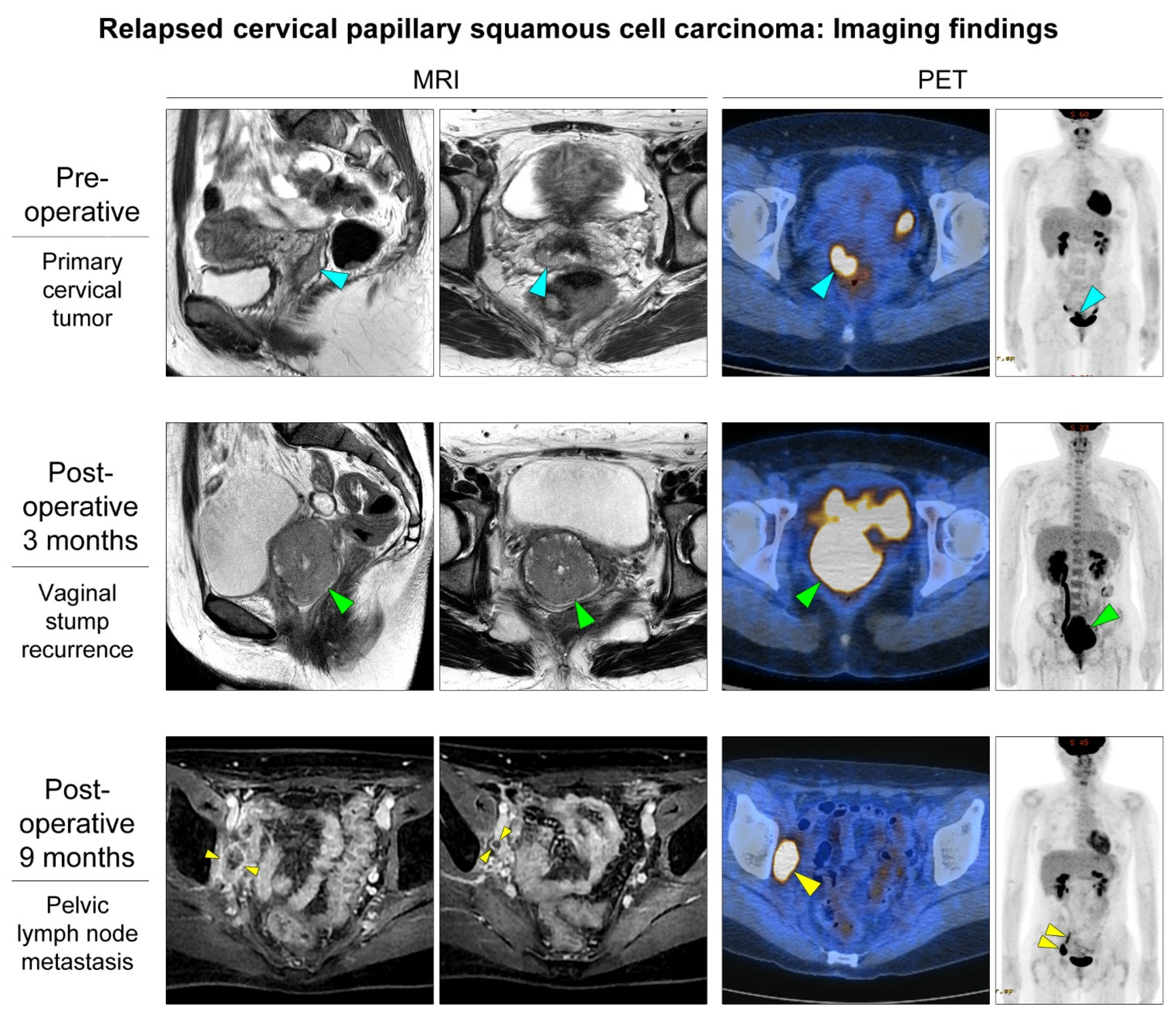 Diagnostics 12 00599 g001 Diagnostics 12 00599 g001