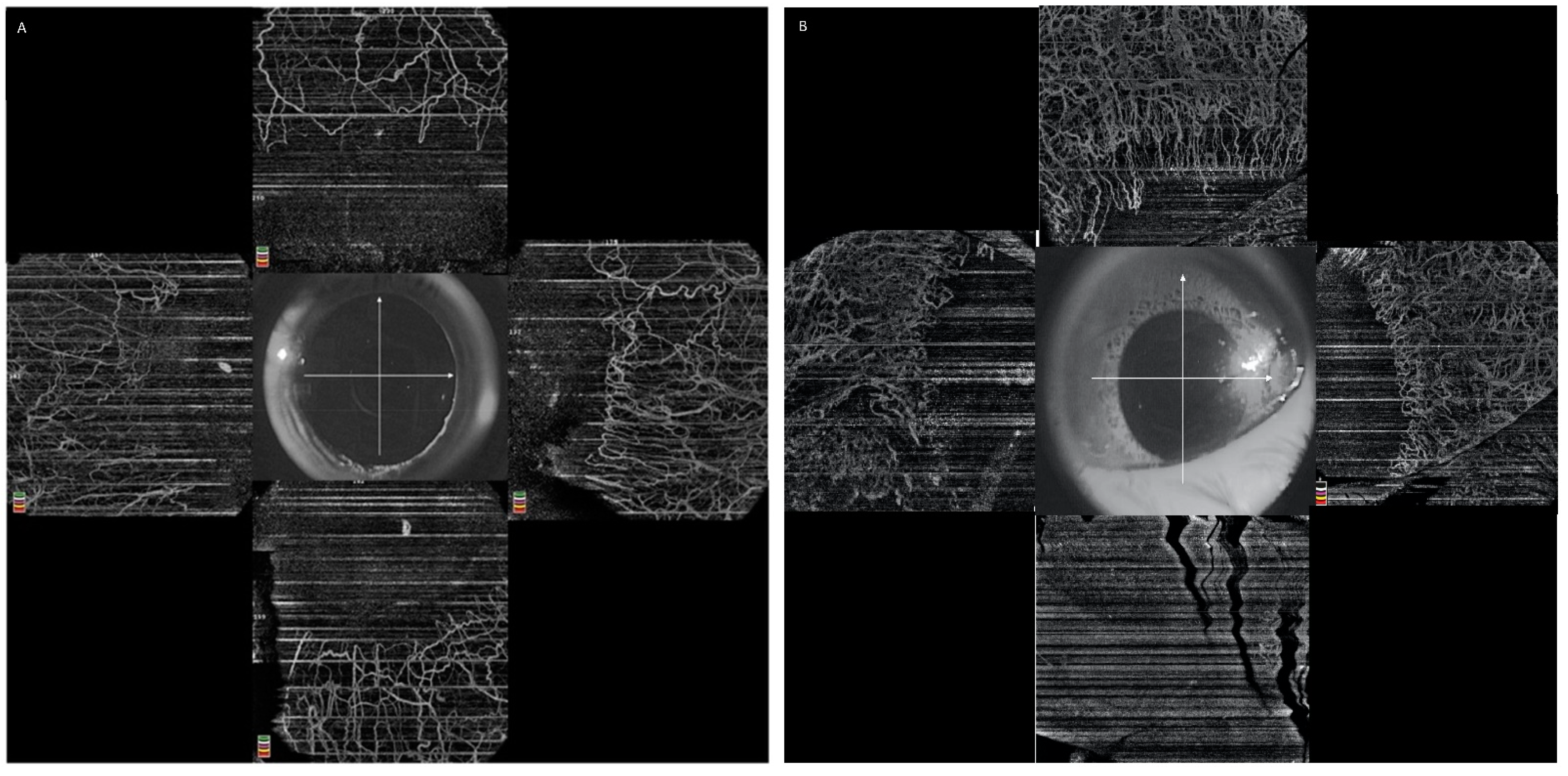 Diagnostics 12 00607 g002 550