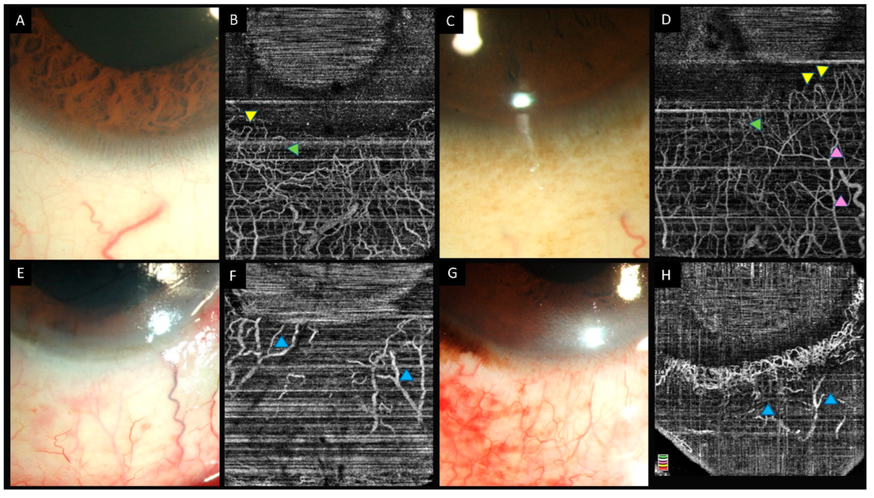 Diagnostics 12 00607 g003 550