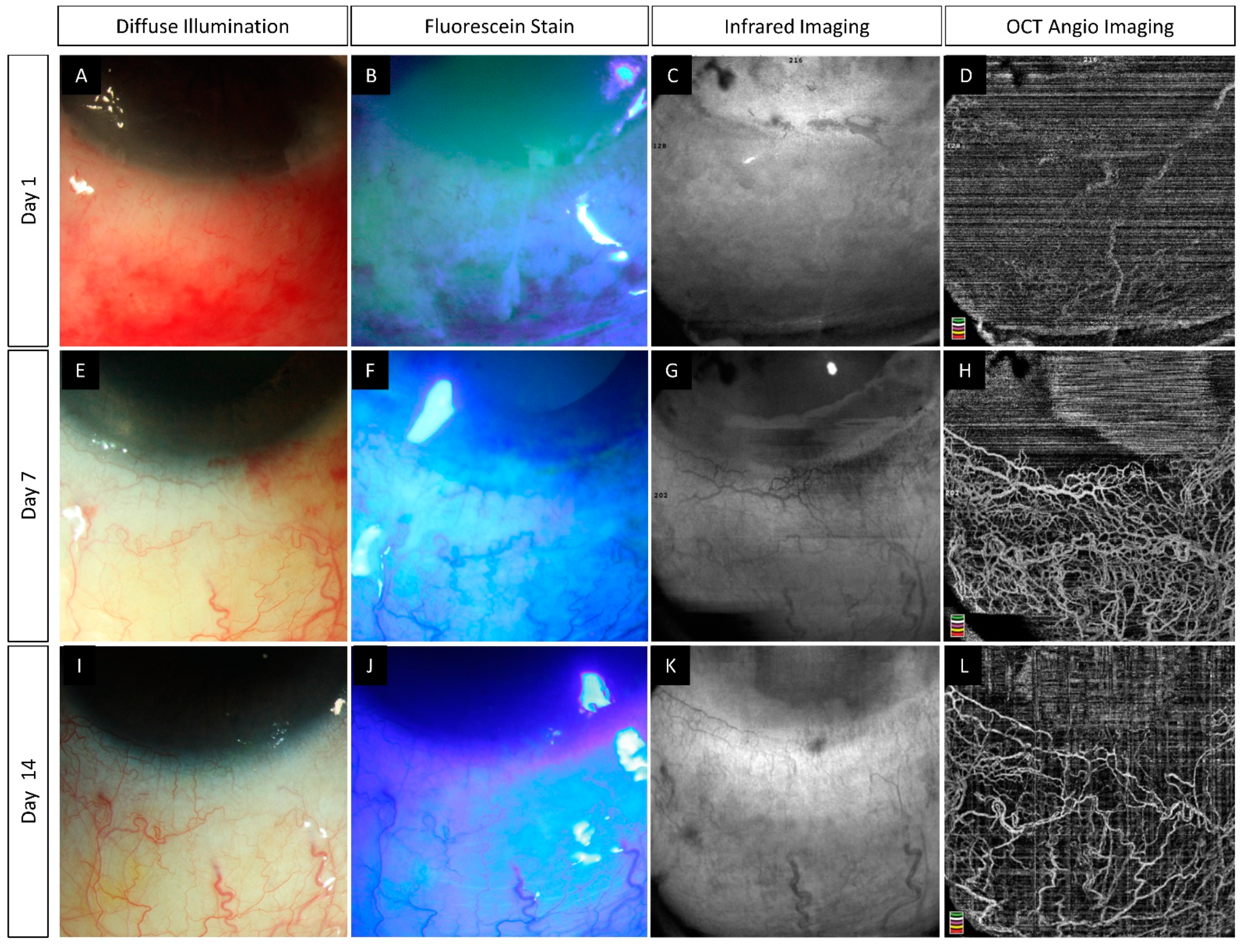 Diagnostics 12 00607 g004 550