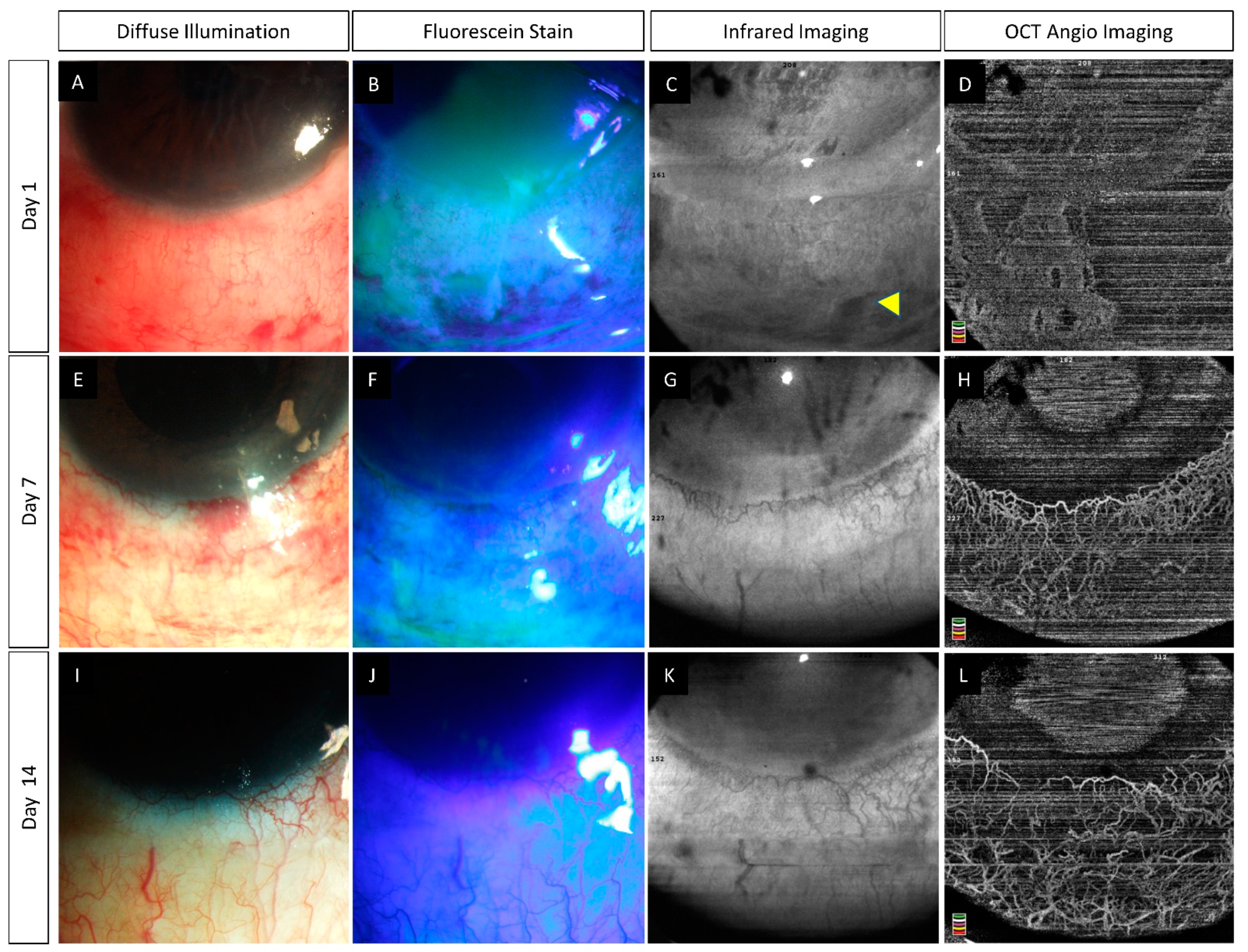 Diagnostics 12 00607 g005 550