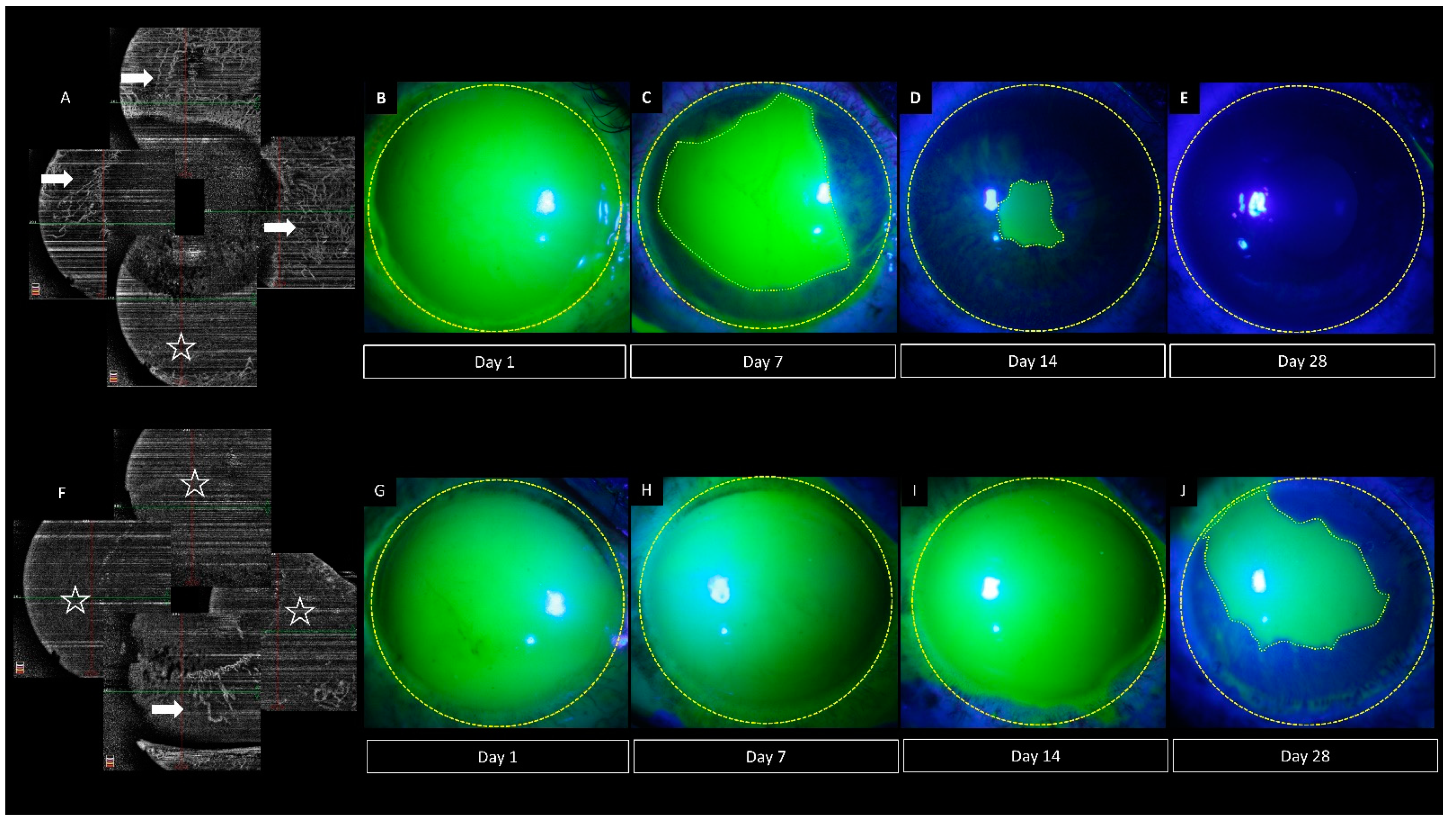 Diagnostics 12 00607 g006 550