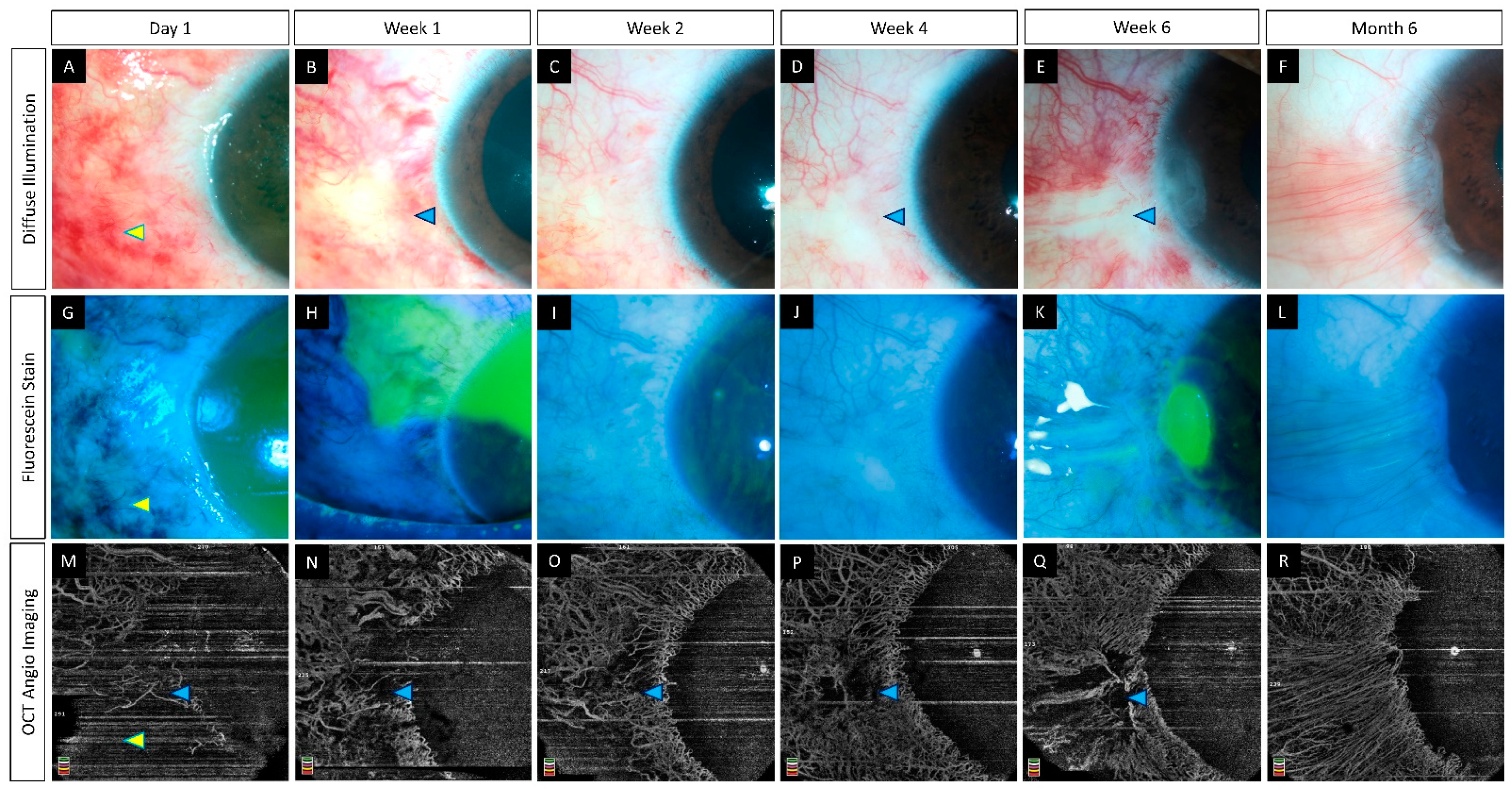 Diagnostics 12 00607 g007 550