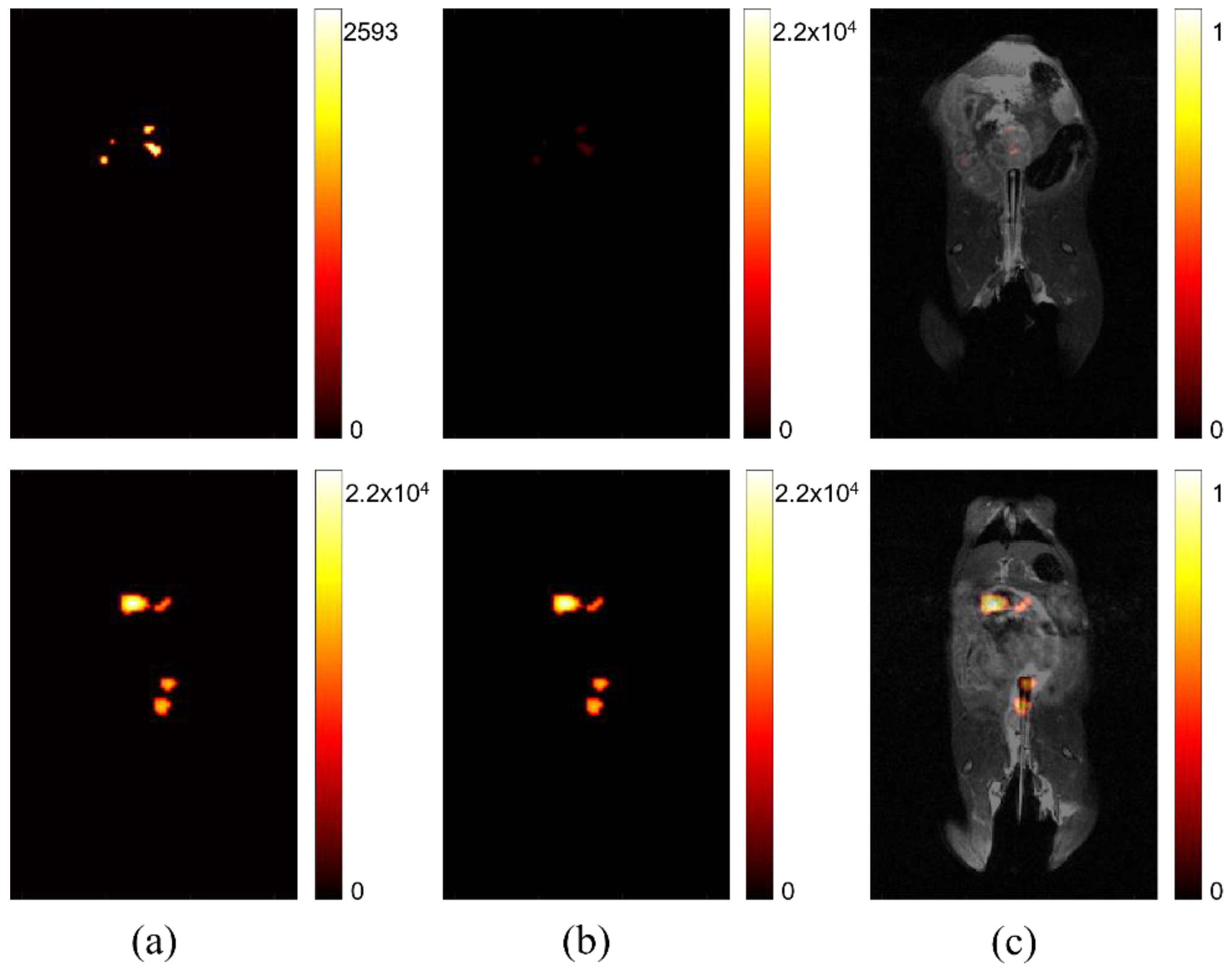 Diagnostics 12 00610 g002 550