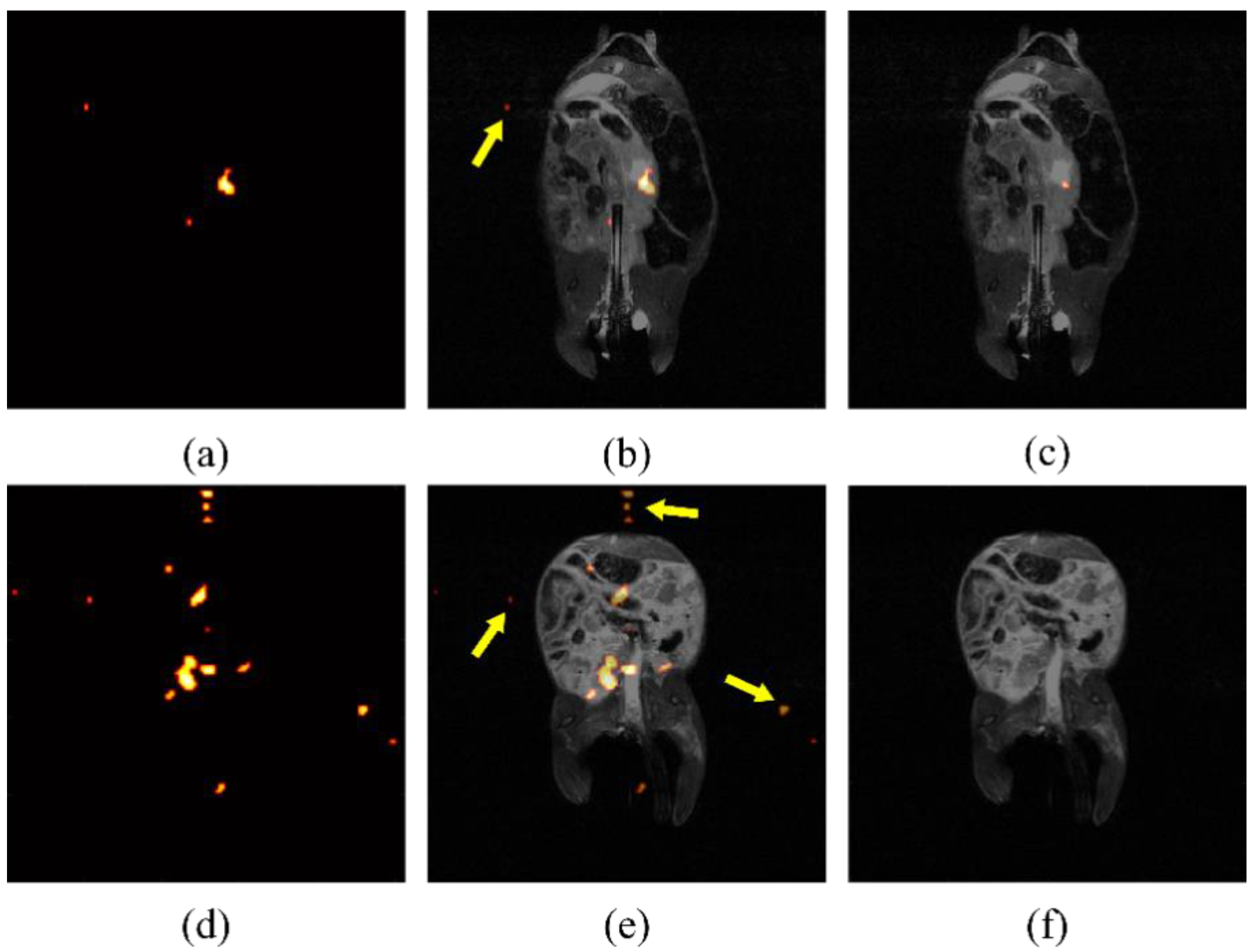 Diagnostics 12 00610 g003 550