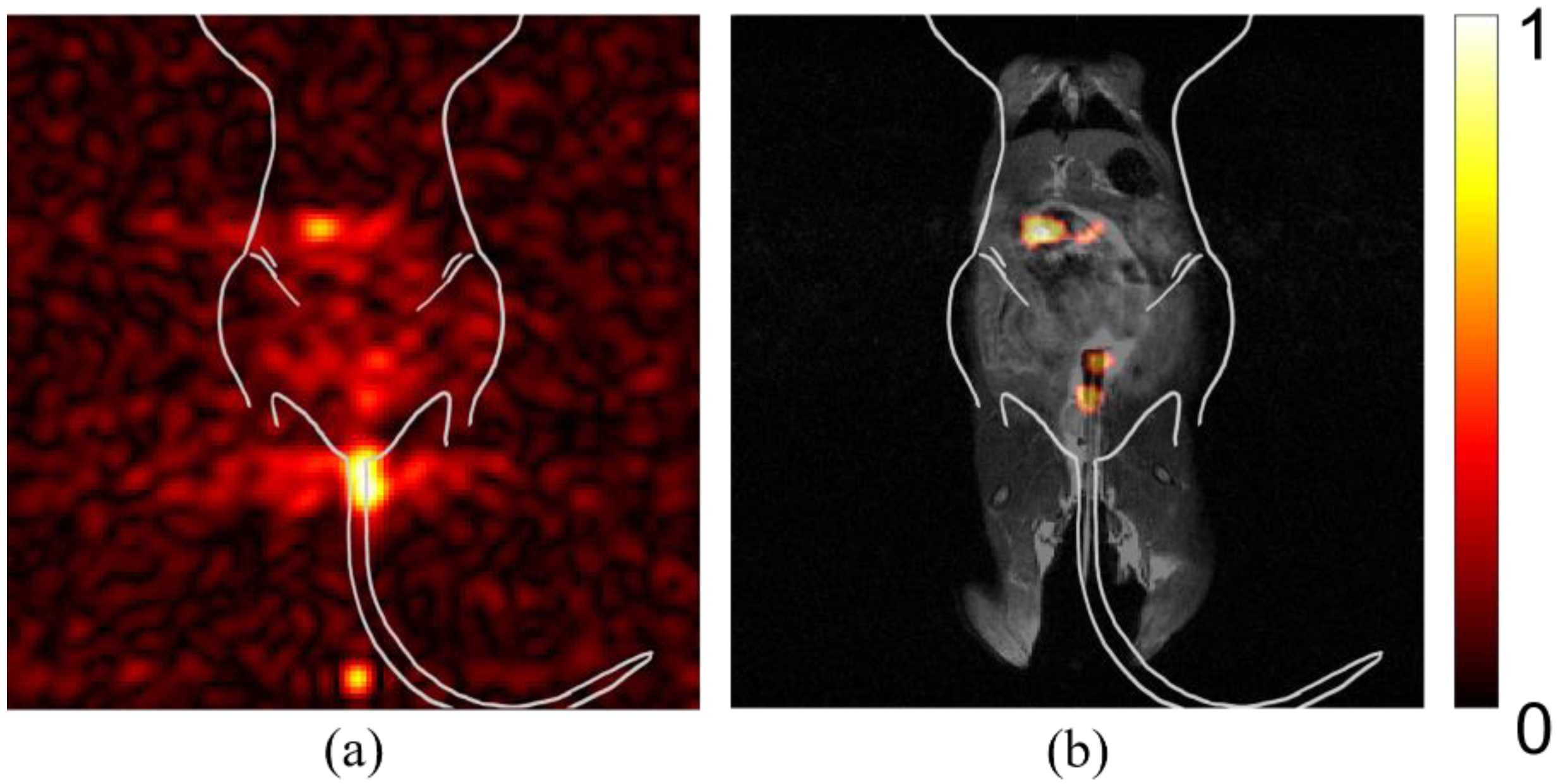Diagnostics 12 00610 g005 550
