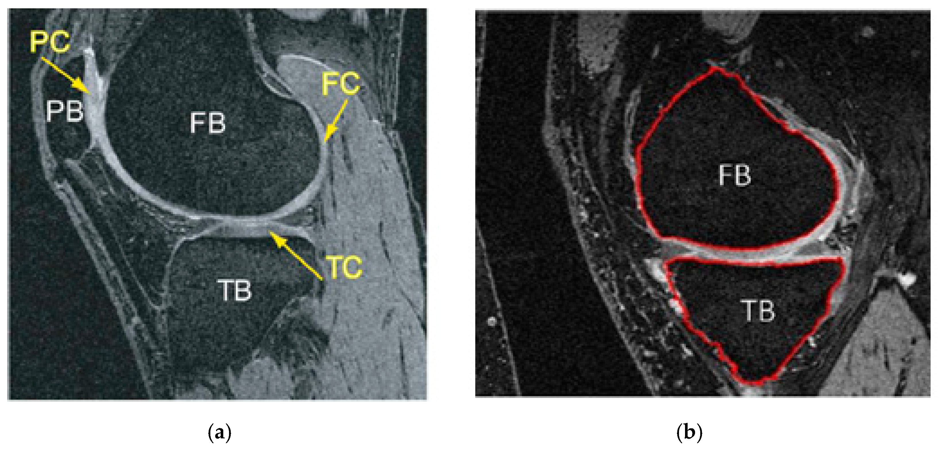 Diagnostics 12 00611 g002