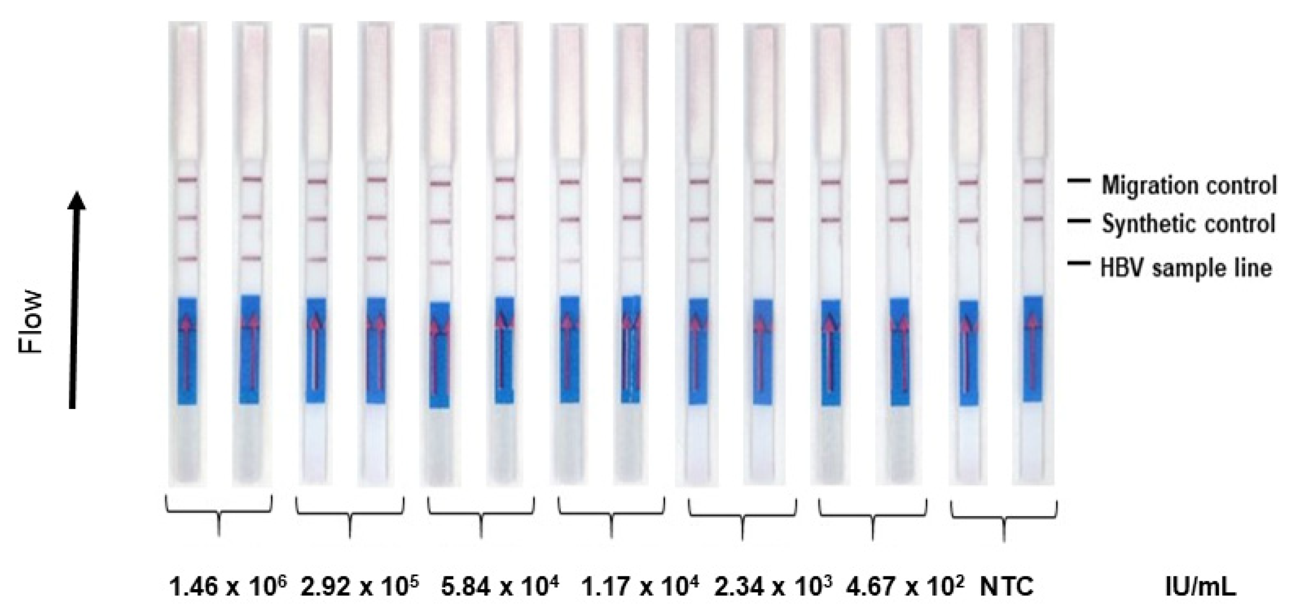 Diagnostics 12 00621 g003 550