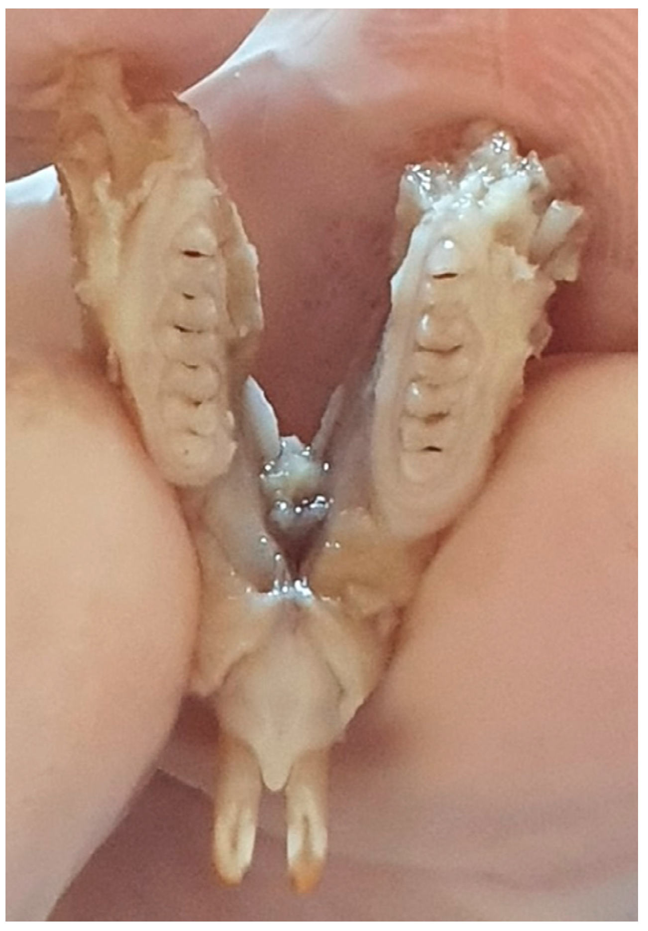 Diagnostics 12 00636 g001 550