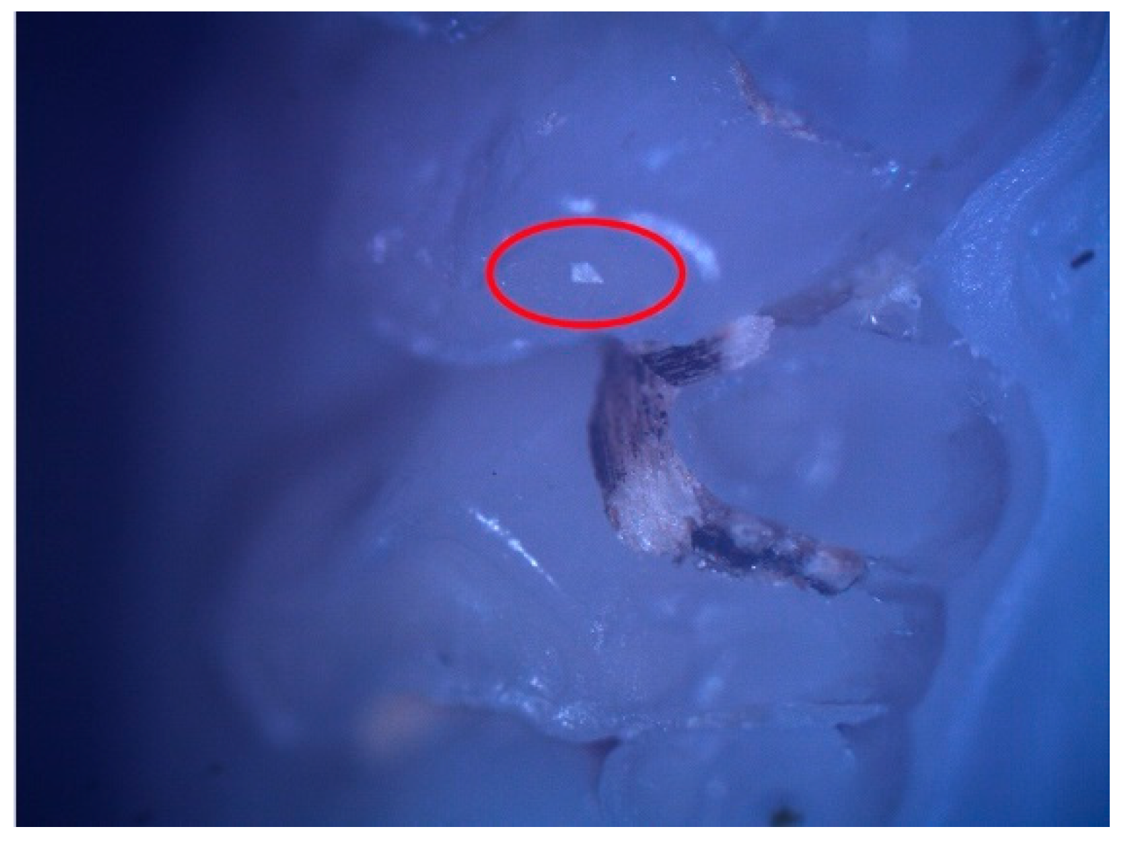 Diagnostics 12 00636 g002 550