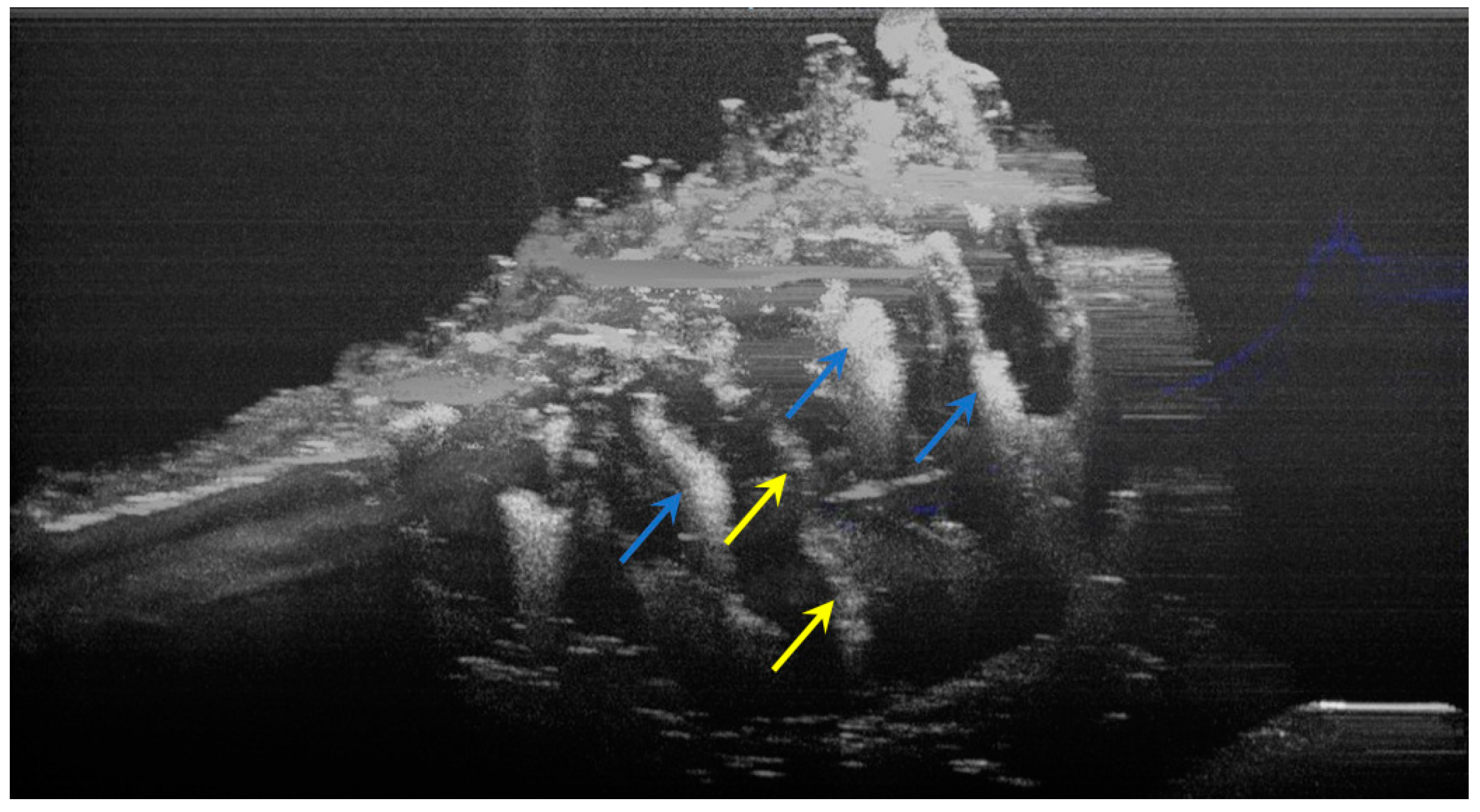 Diagnostics 12 00636 g006 550