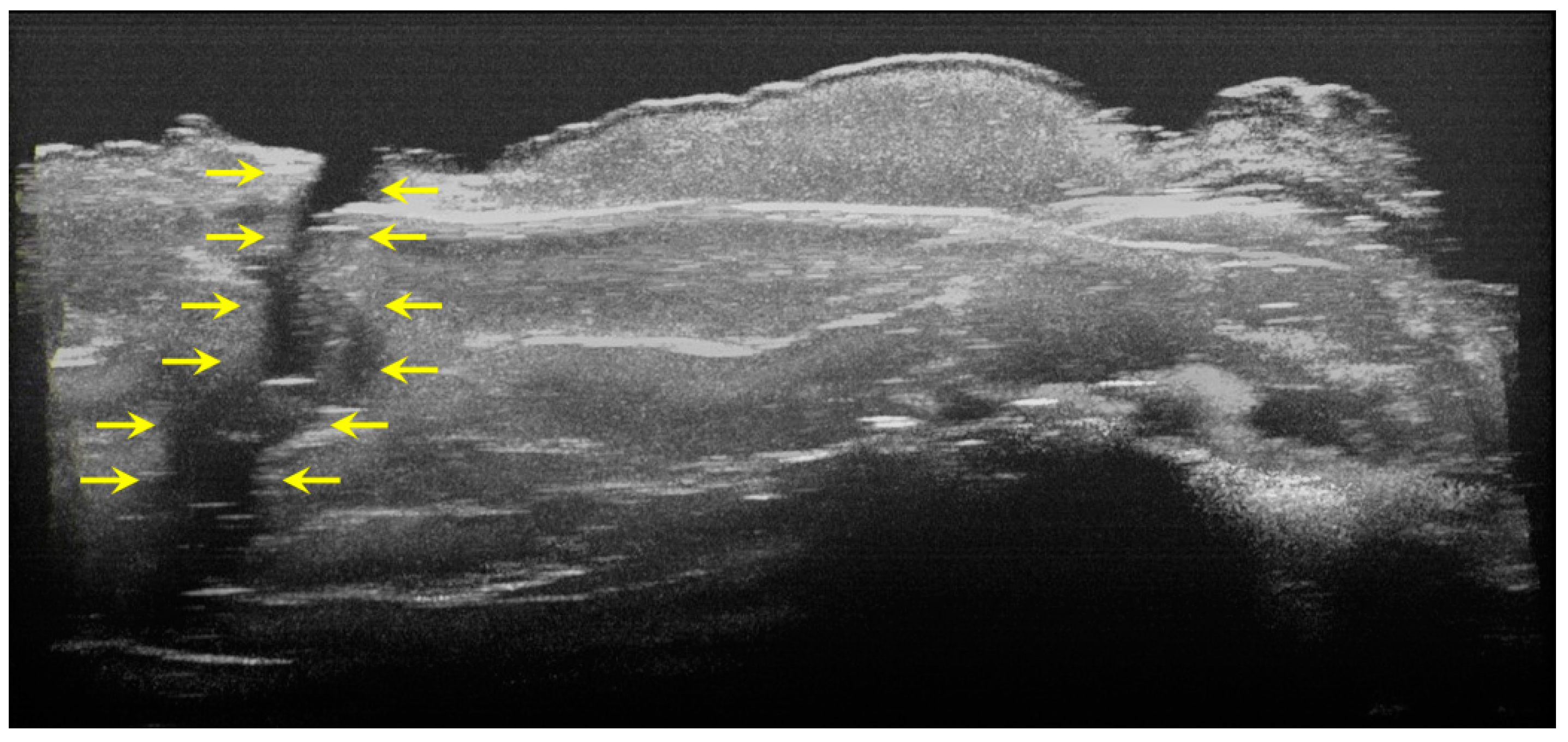 Diagnostics 12 00636 g008 550