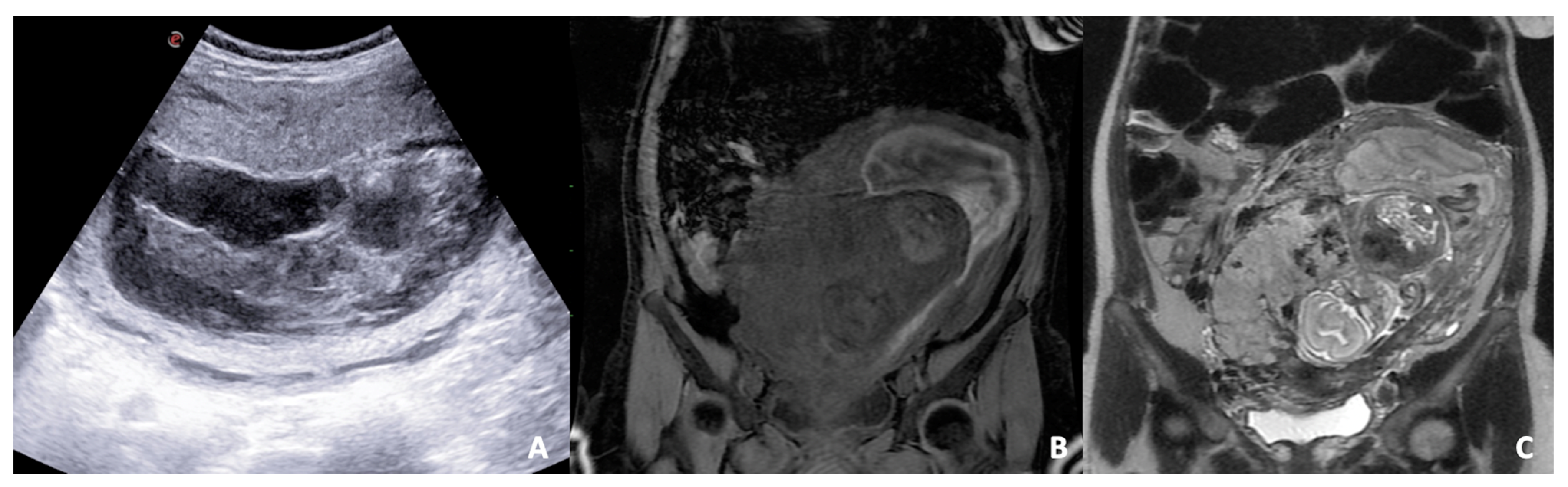 Diagnostics 12 00640 g003