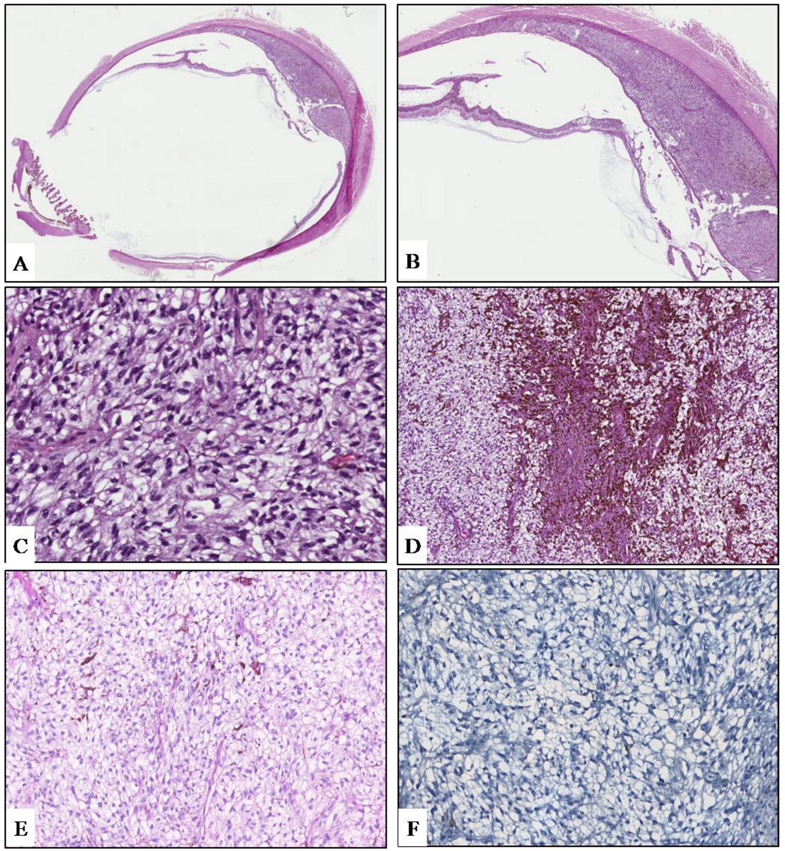 Diagnostics 12 00642 g002