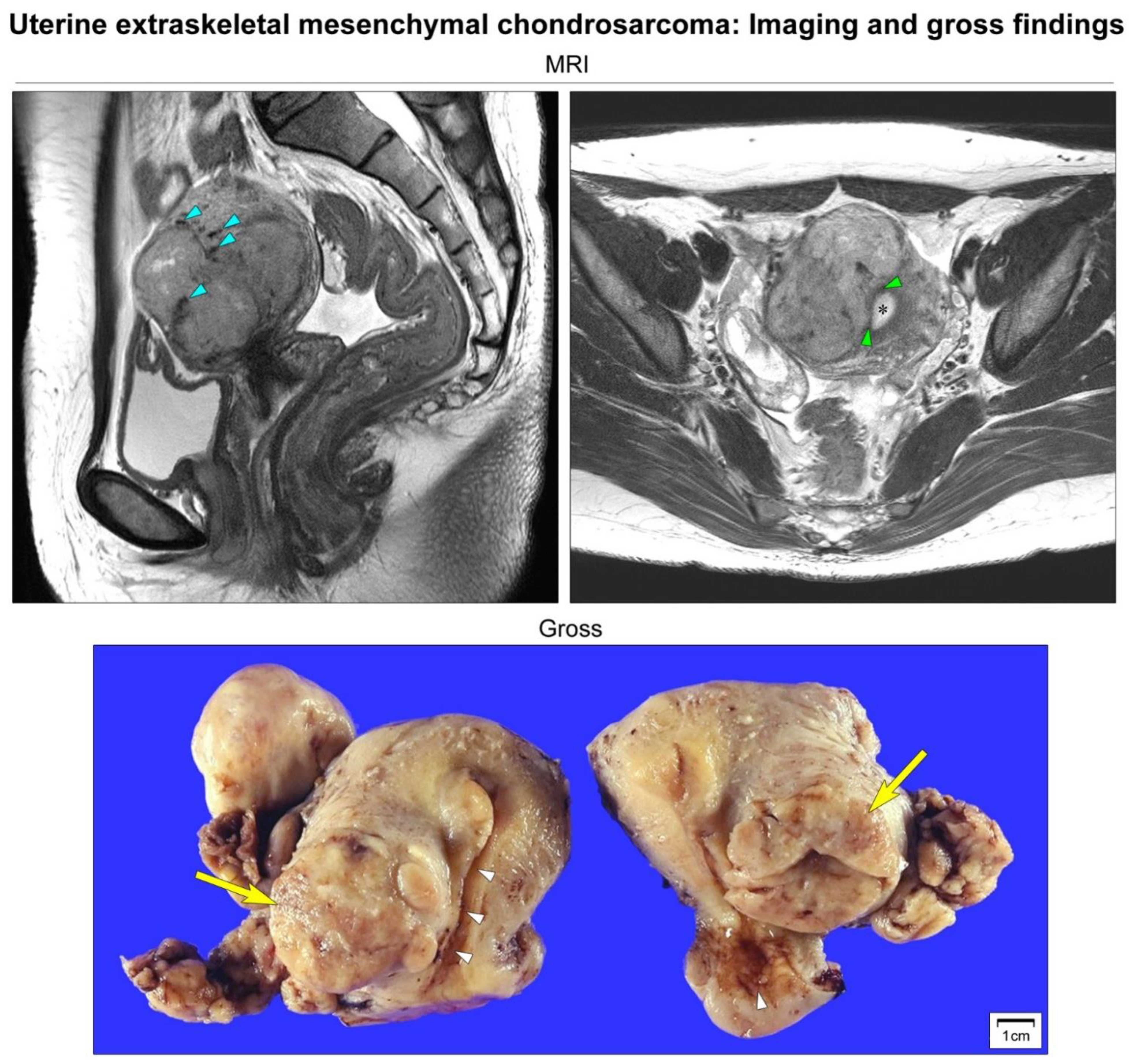 Diagnostics 12 00643 g001