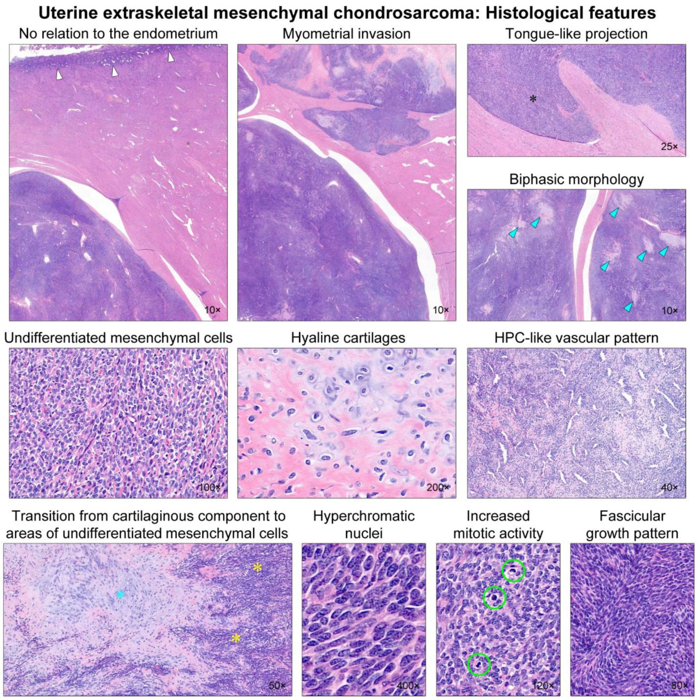 Diagnostics 12 00643 g002