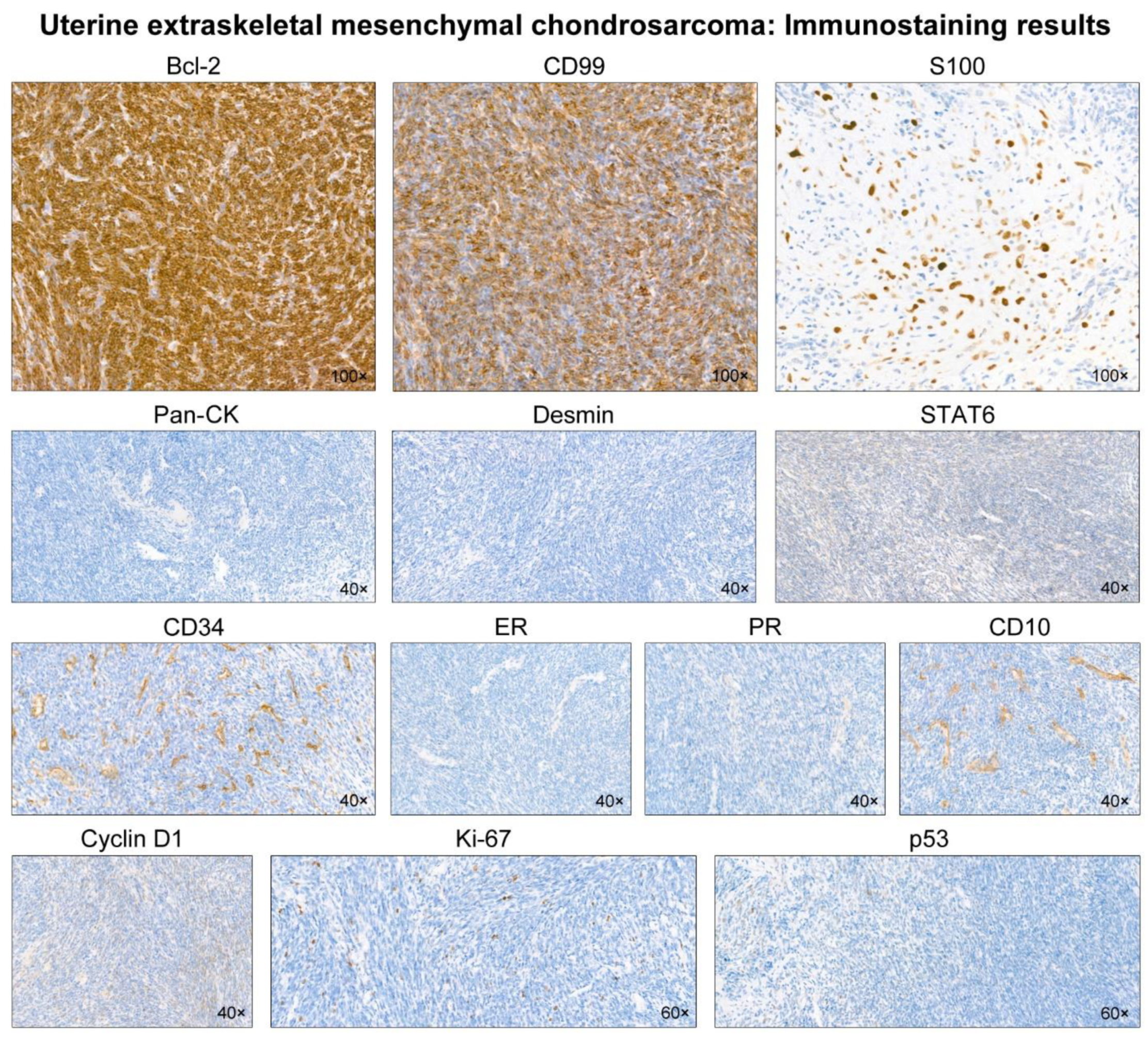 Diagnostics 12 00643 g003