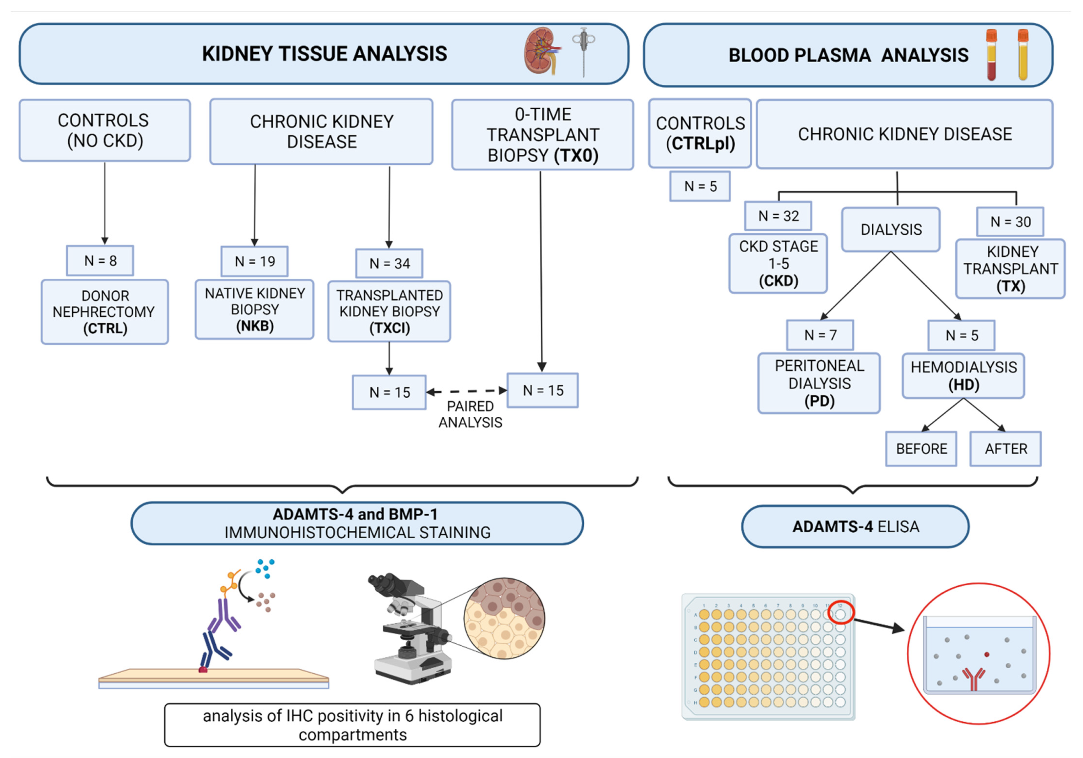 Diagnostics 12 00648 g001 Diagnostics 12 00648 g001