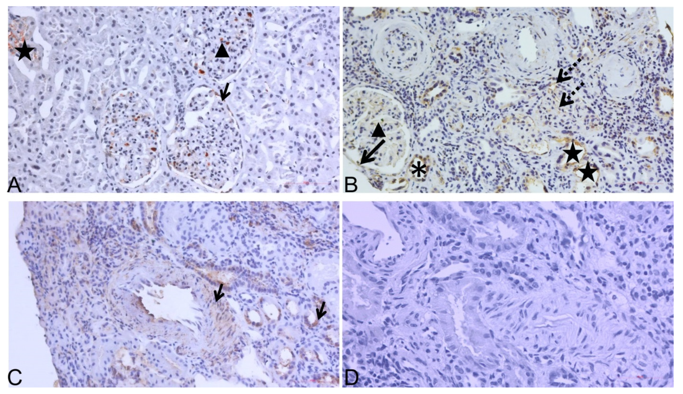 Diagnostics 12 00648 g004 Diagnostics 12 00648 g004
