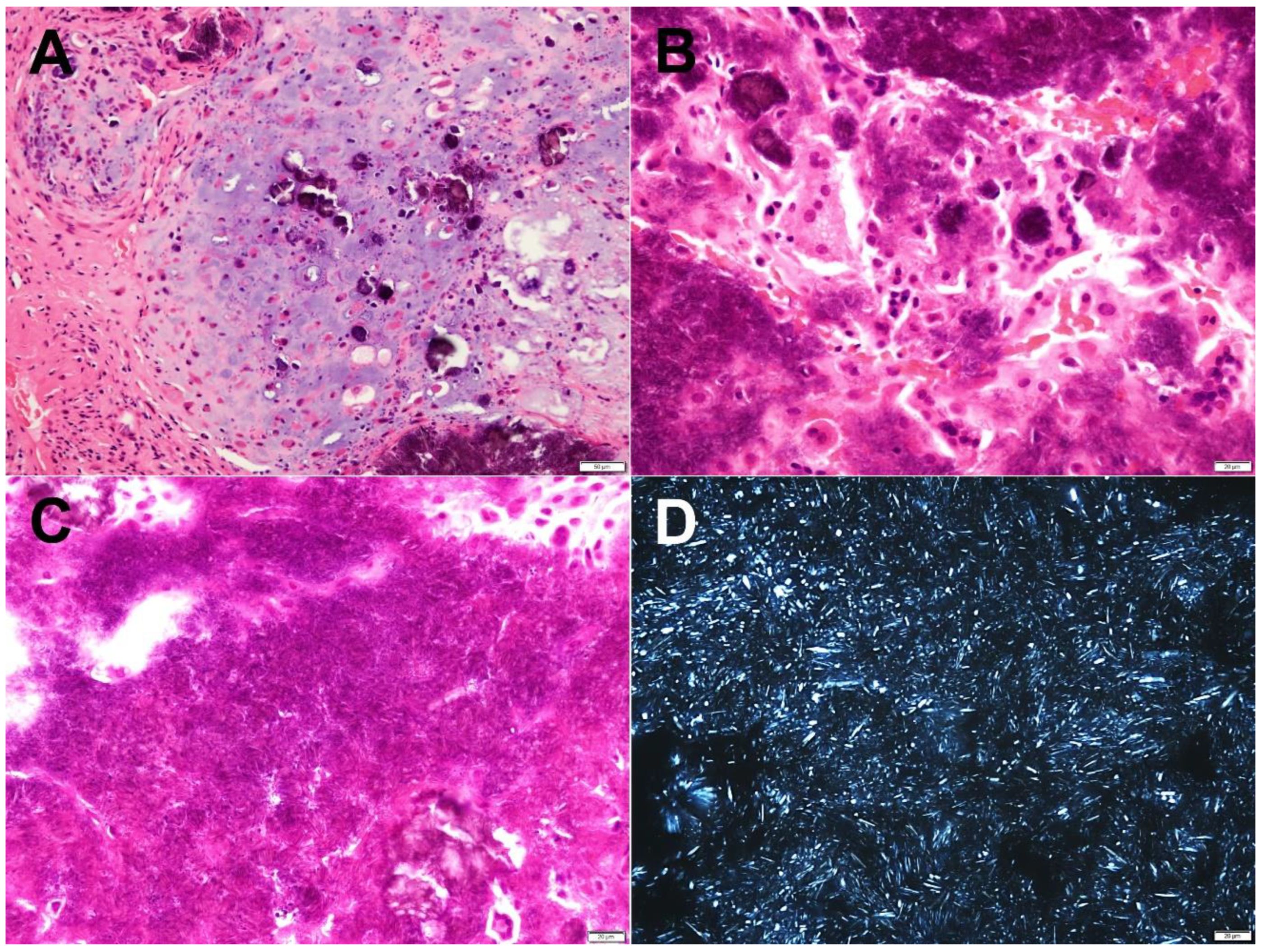Diagnostics 12 00651 g006
