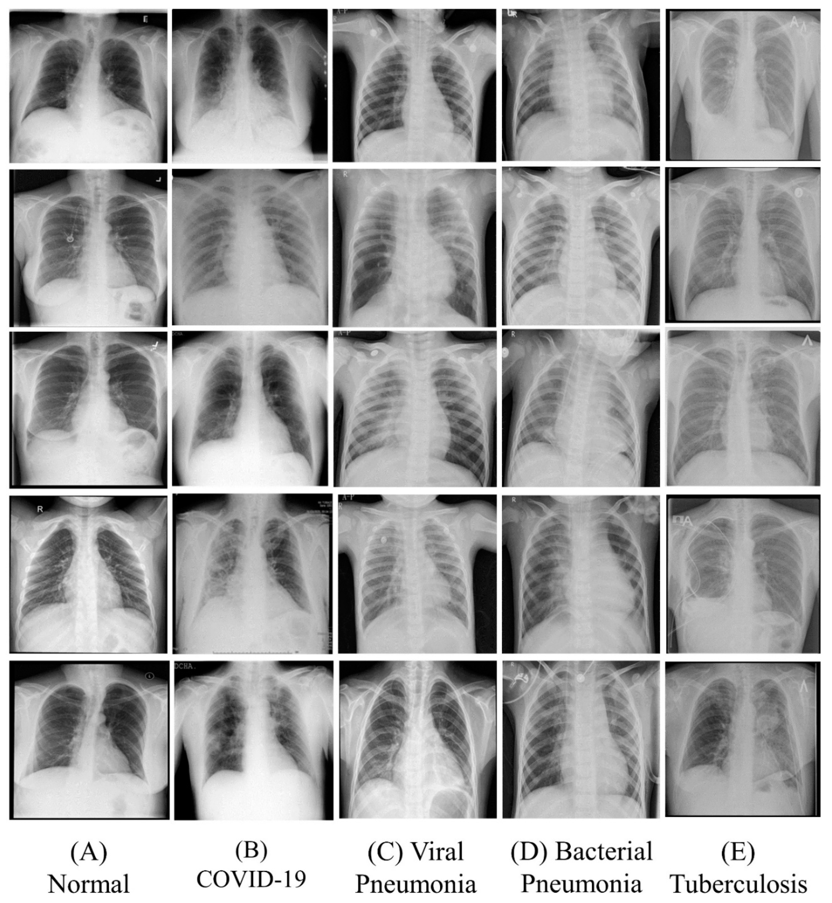 Diagnostics 12 00652 g002