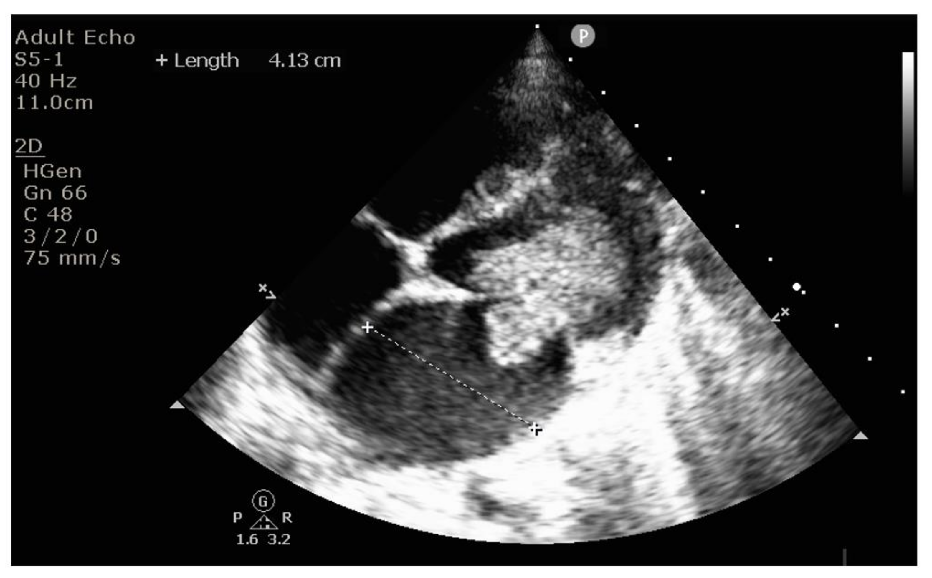 Diagnostics 12 00657 g006 Diagnostics 12 00657 g006