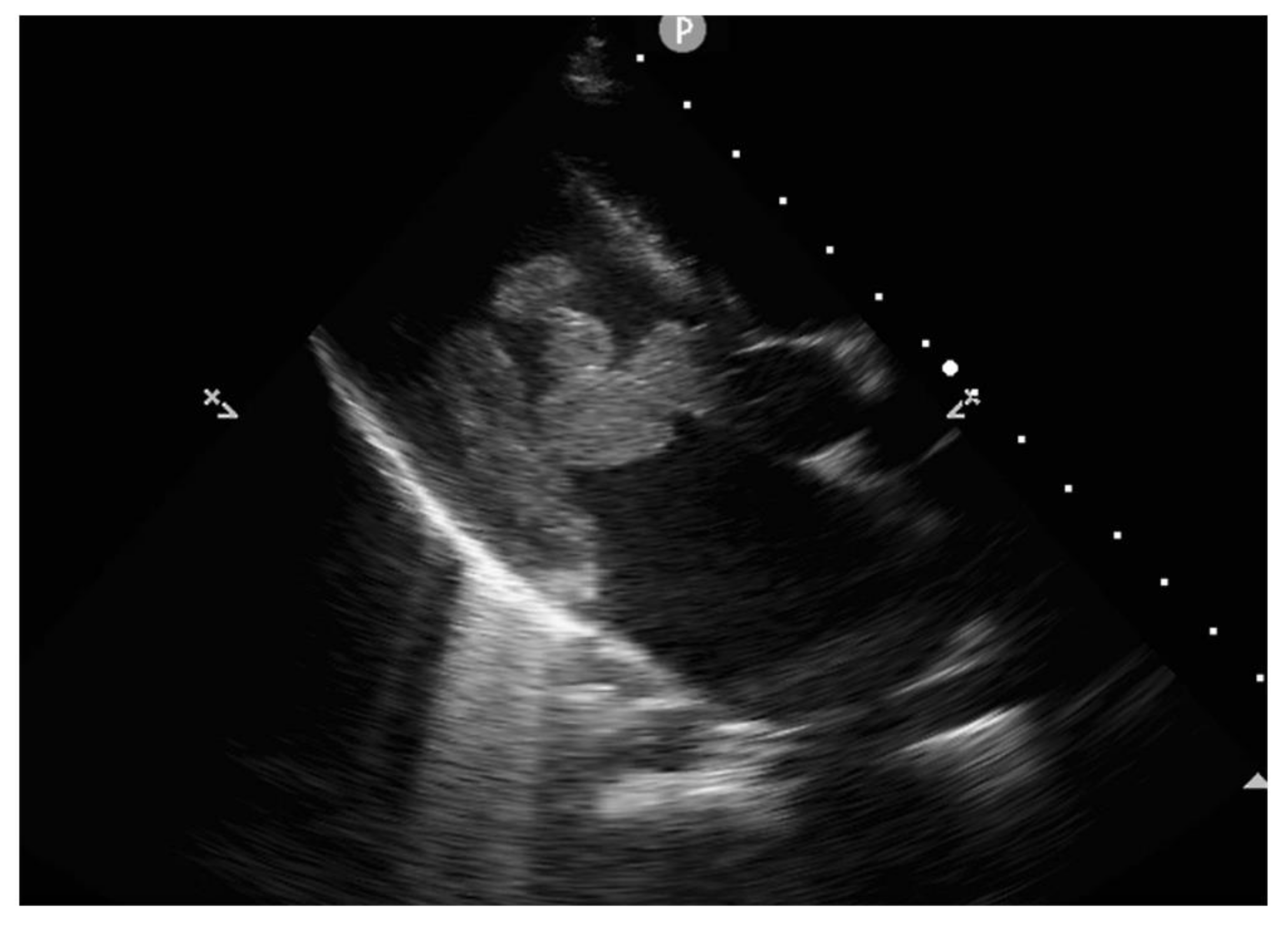 Diagnostics 12 00657 g007 Diagnostics 12 00657 g007