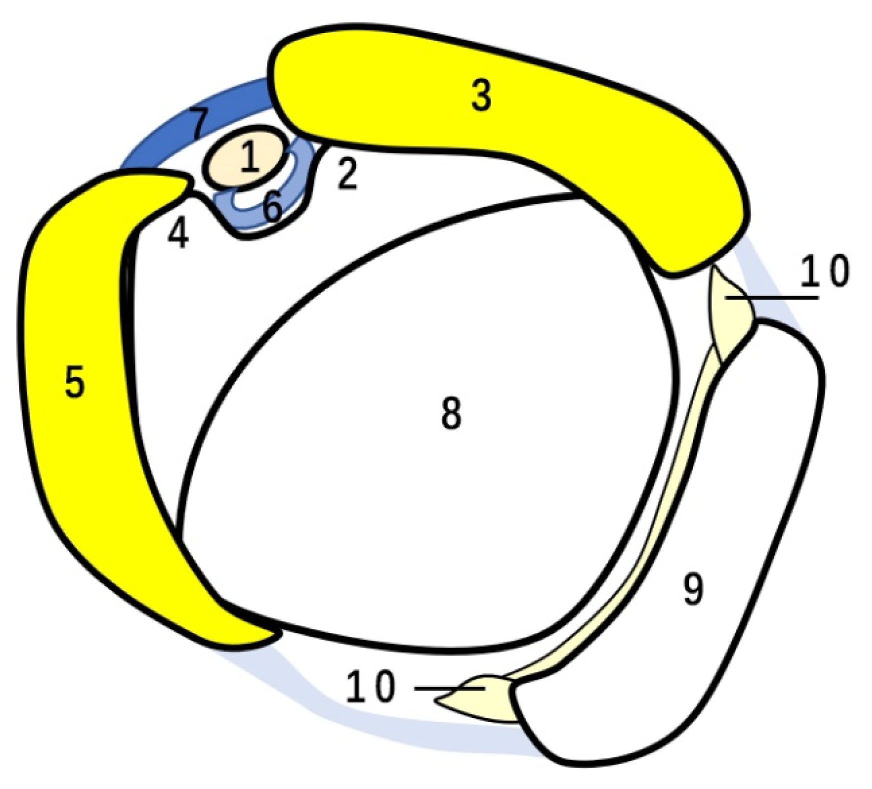 Diagnostics 12 00659 g003