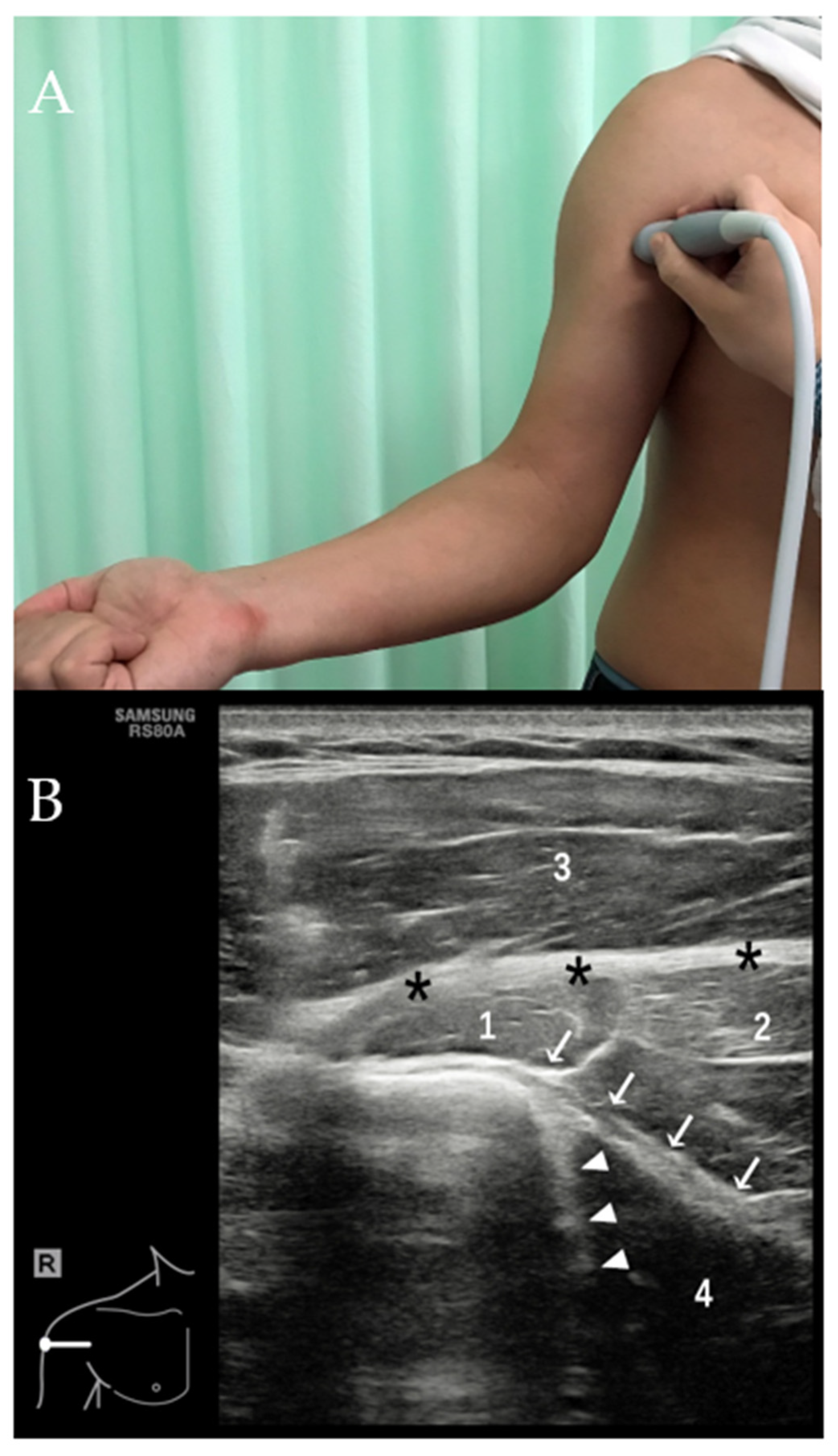Diagnostics 12 00659 g006