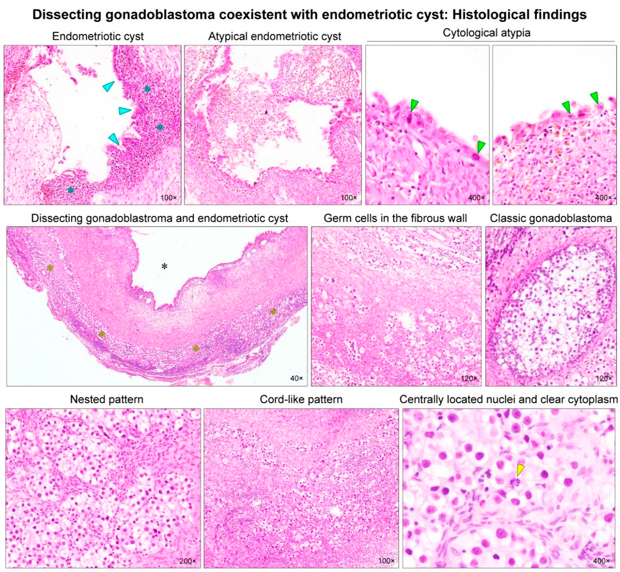 Diagnostics 12 00660 g002