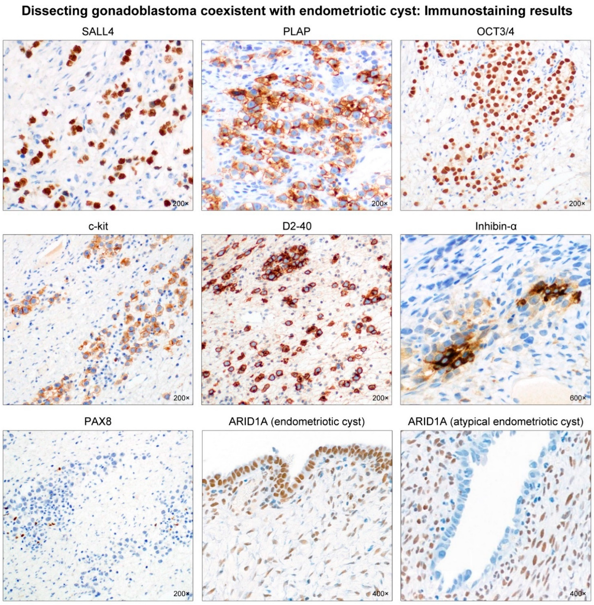 Diagnostics 12 00660 g003