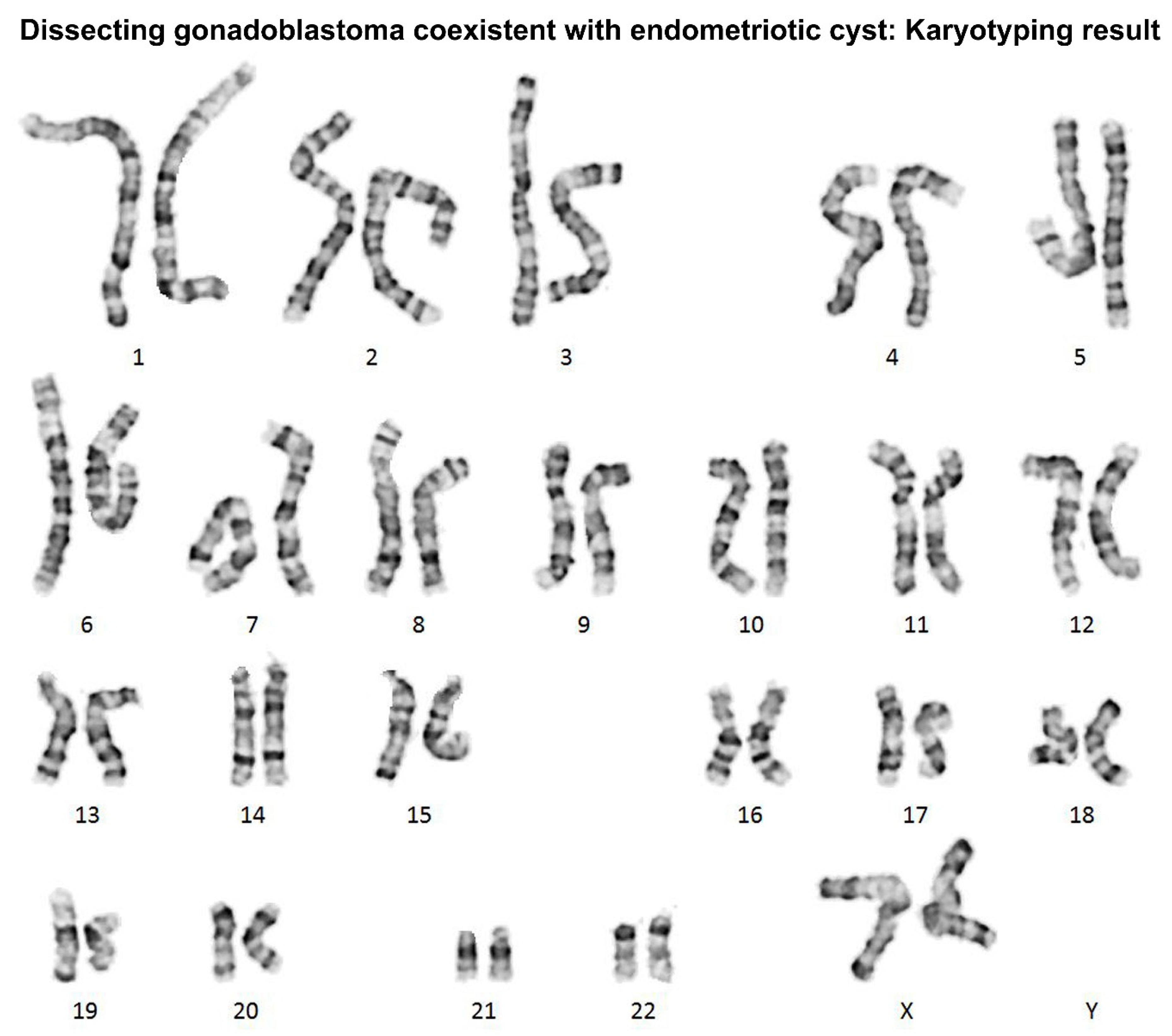 Diagnostics 12 00660 g004