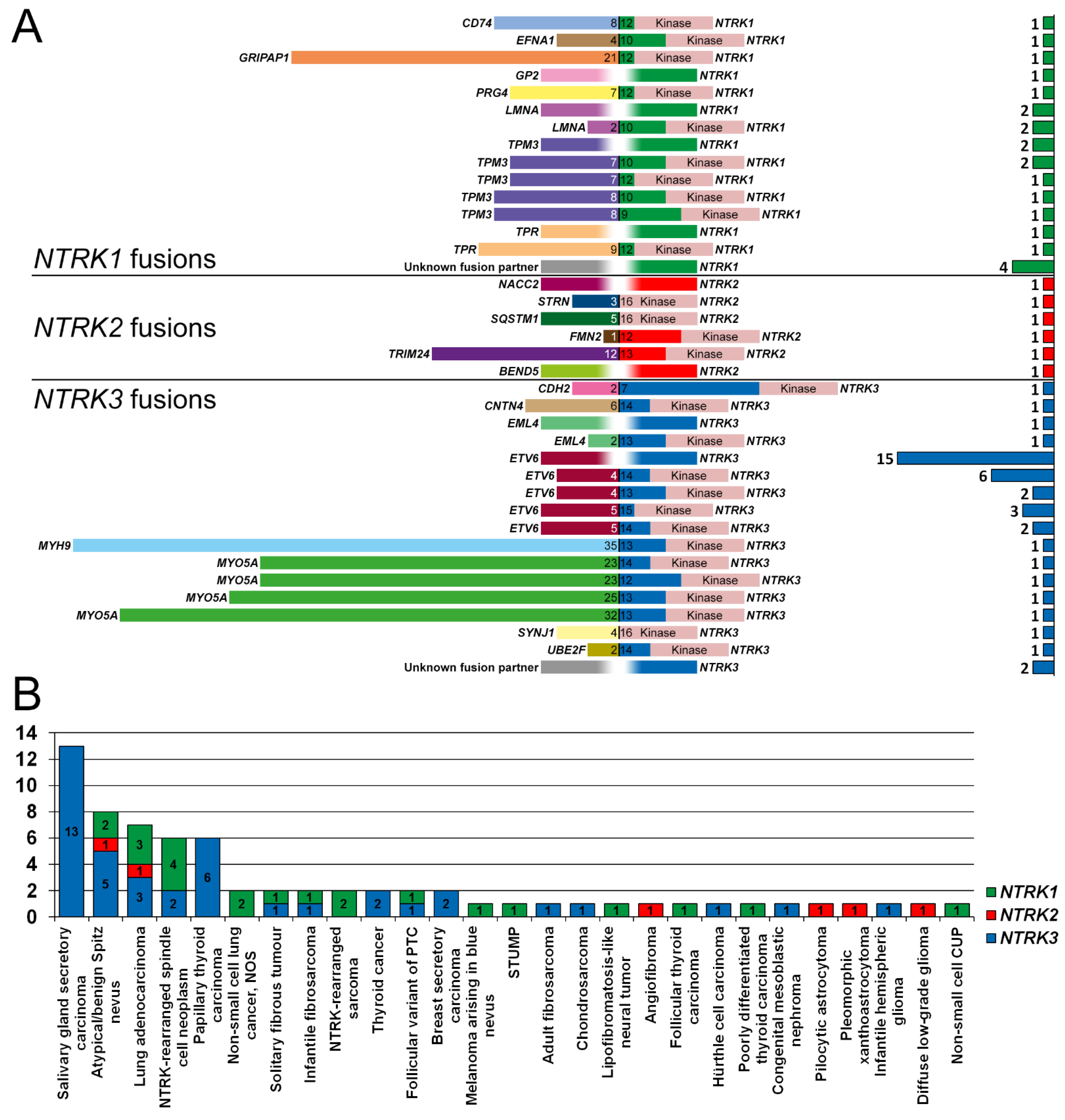 Diagnostics 12 00668 g002 Diagnostics 12 00668 g002